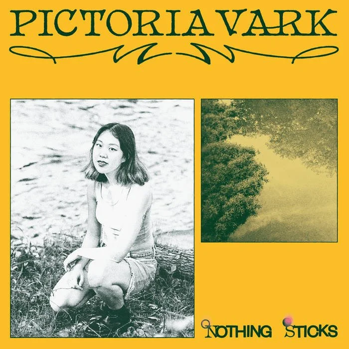 Pictoria Vark Nothing Sticks album cover