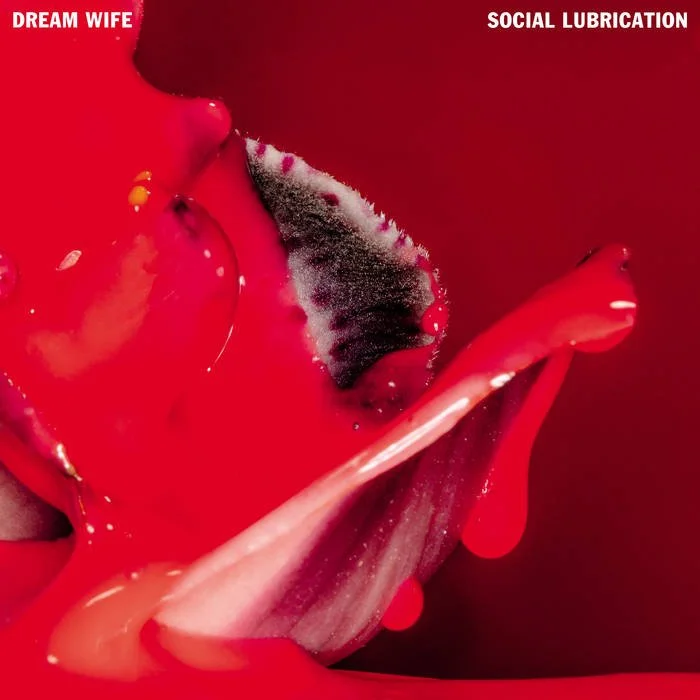 Dream Wife Social Lubrication album cover