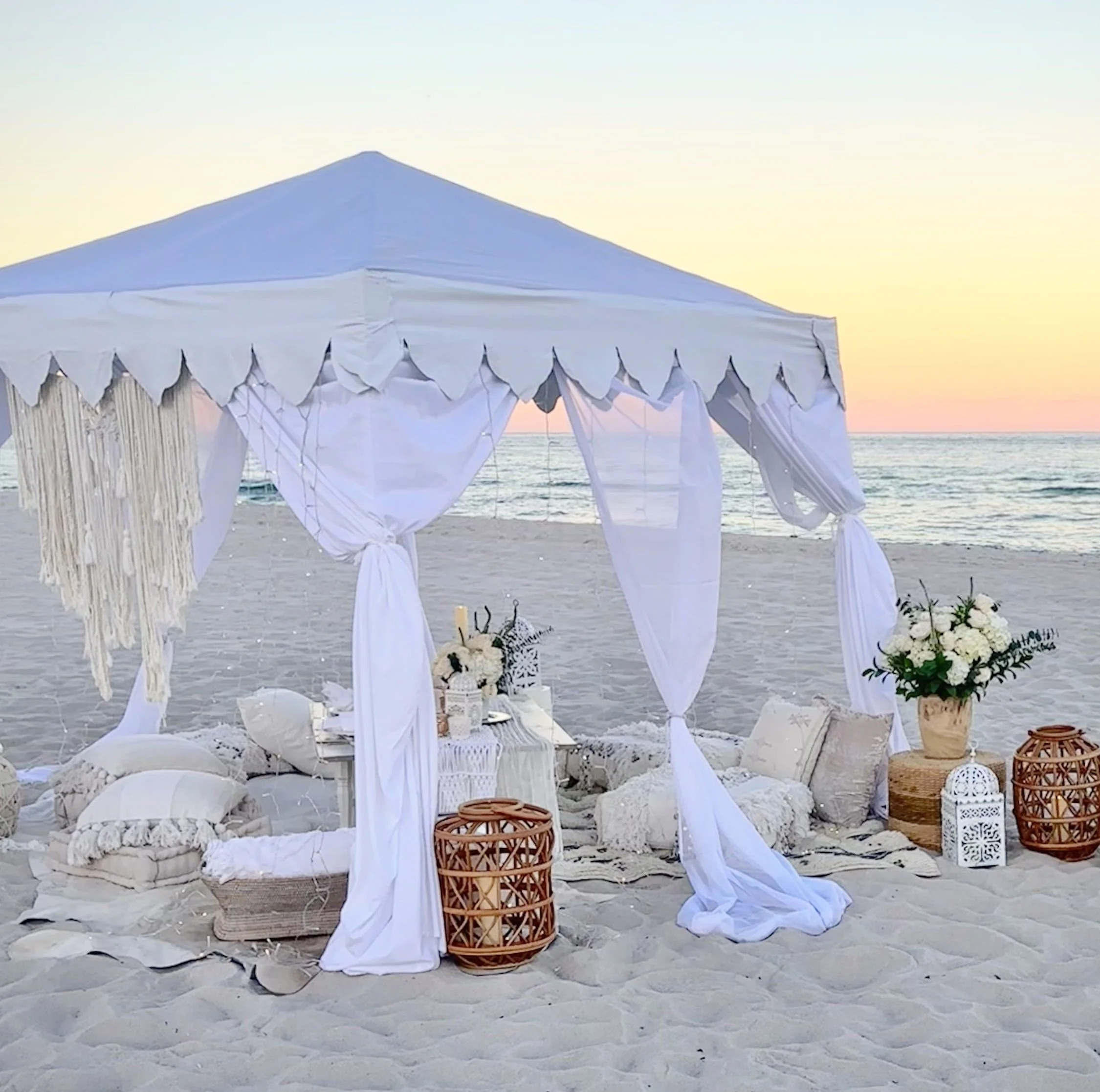 Paspalum Starry Night (2).jpg