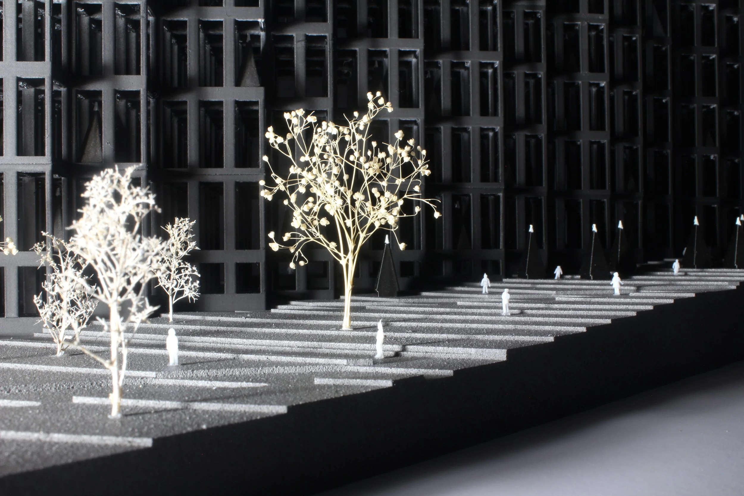 Pair of Dice, Para-Dice, Paradise