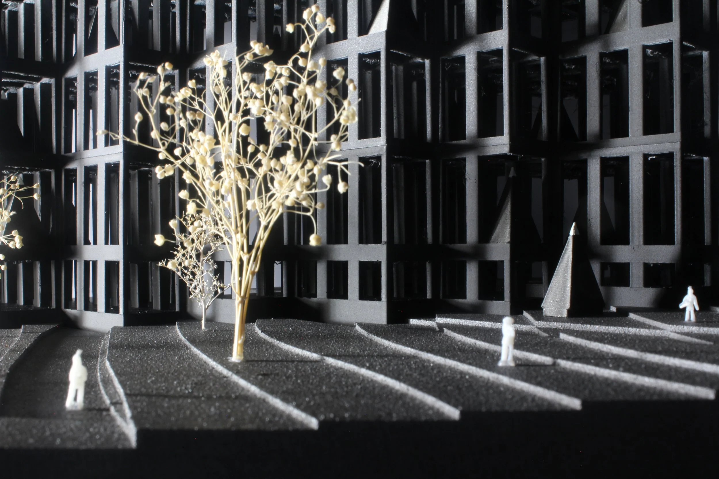 Pair of Dice, Para-Dice, Paradise