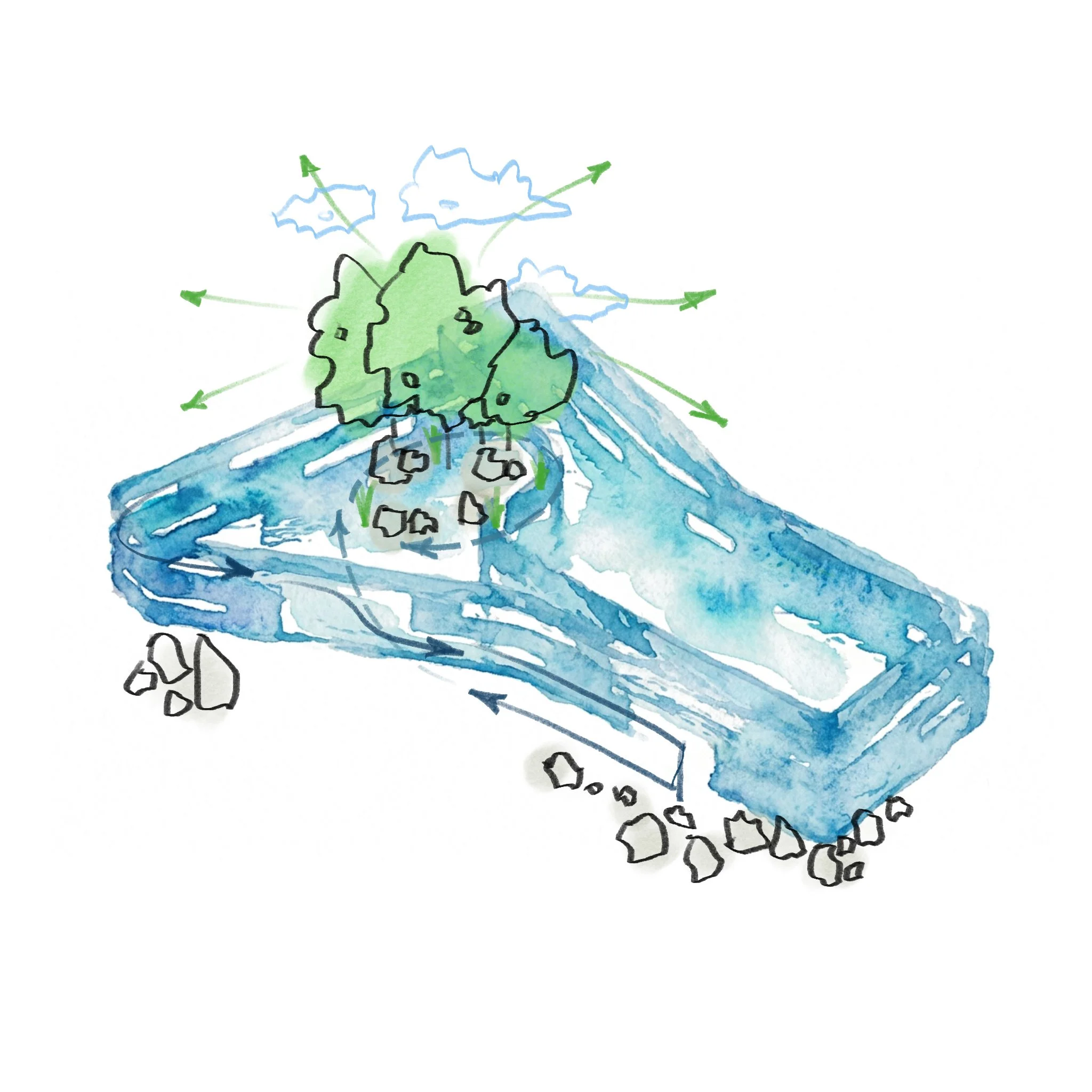 BCC_Exterior Concept Sketch.jpeg