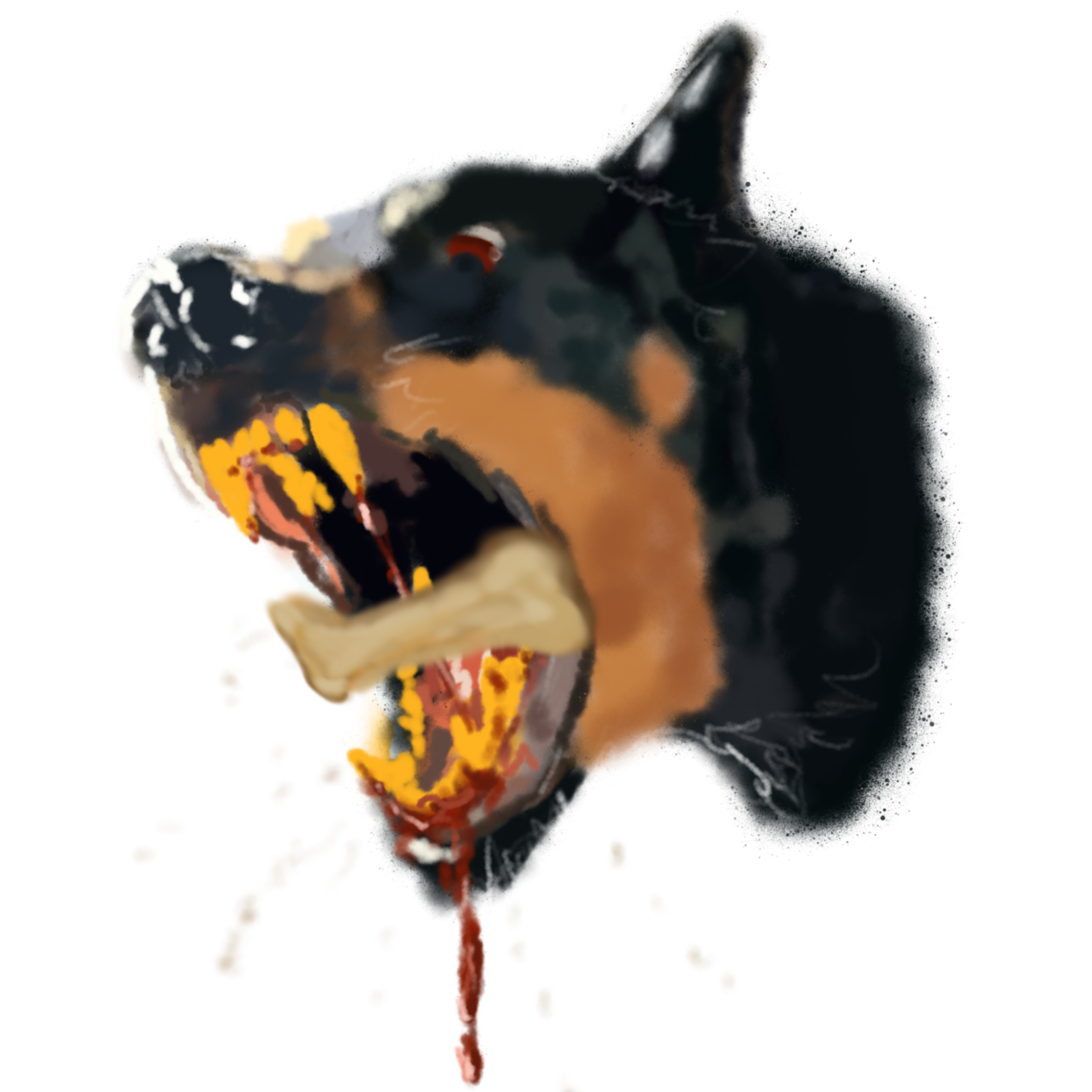Givenchy Rottweiler Wallpaper