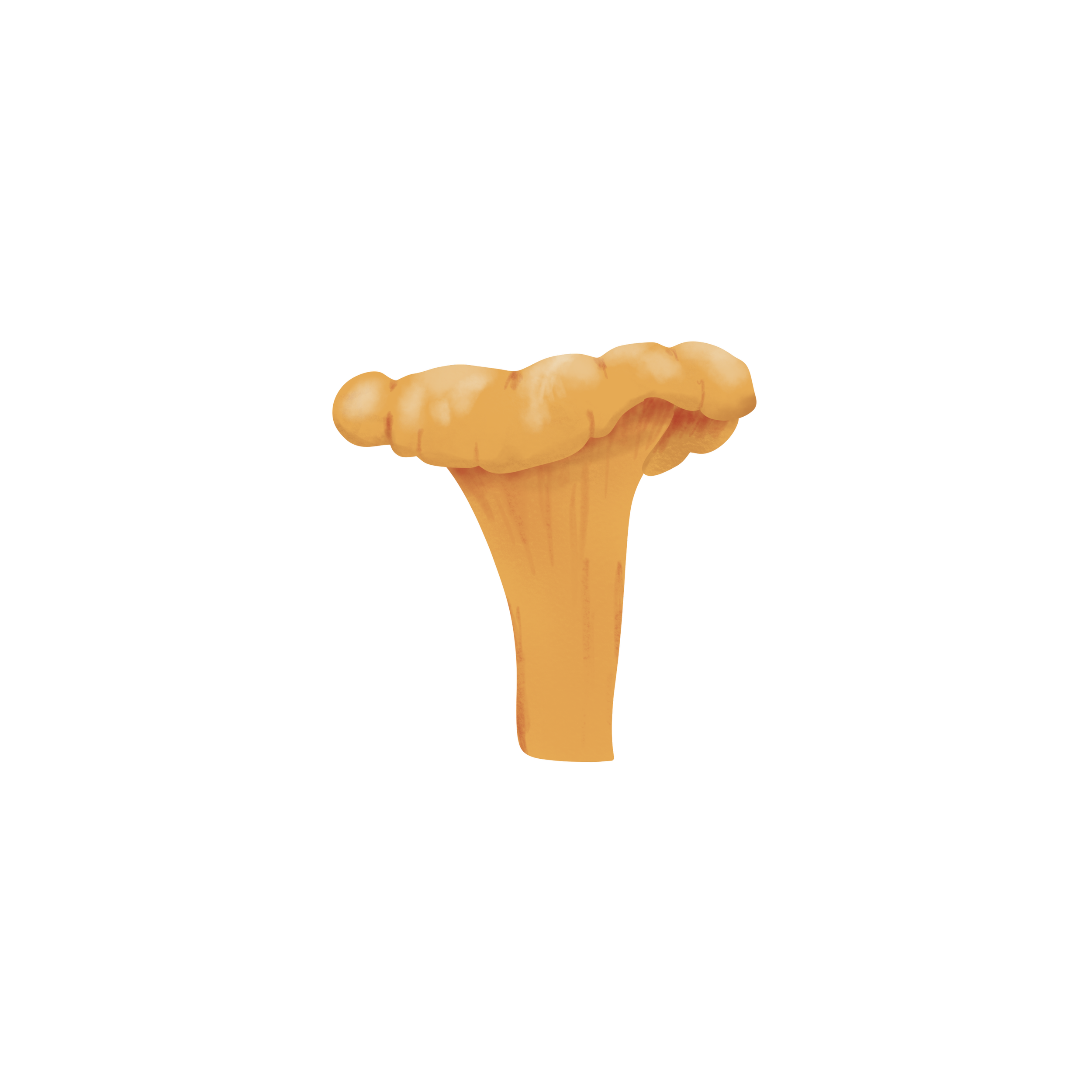Mushroom_4.png