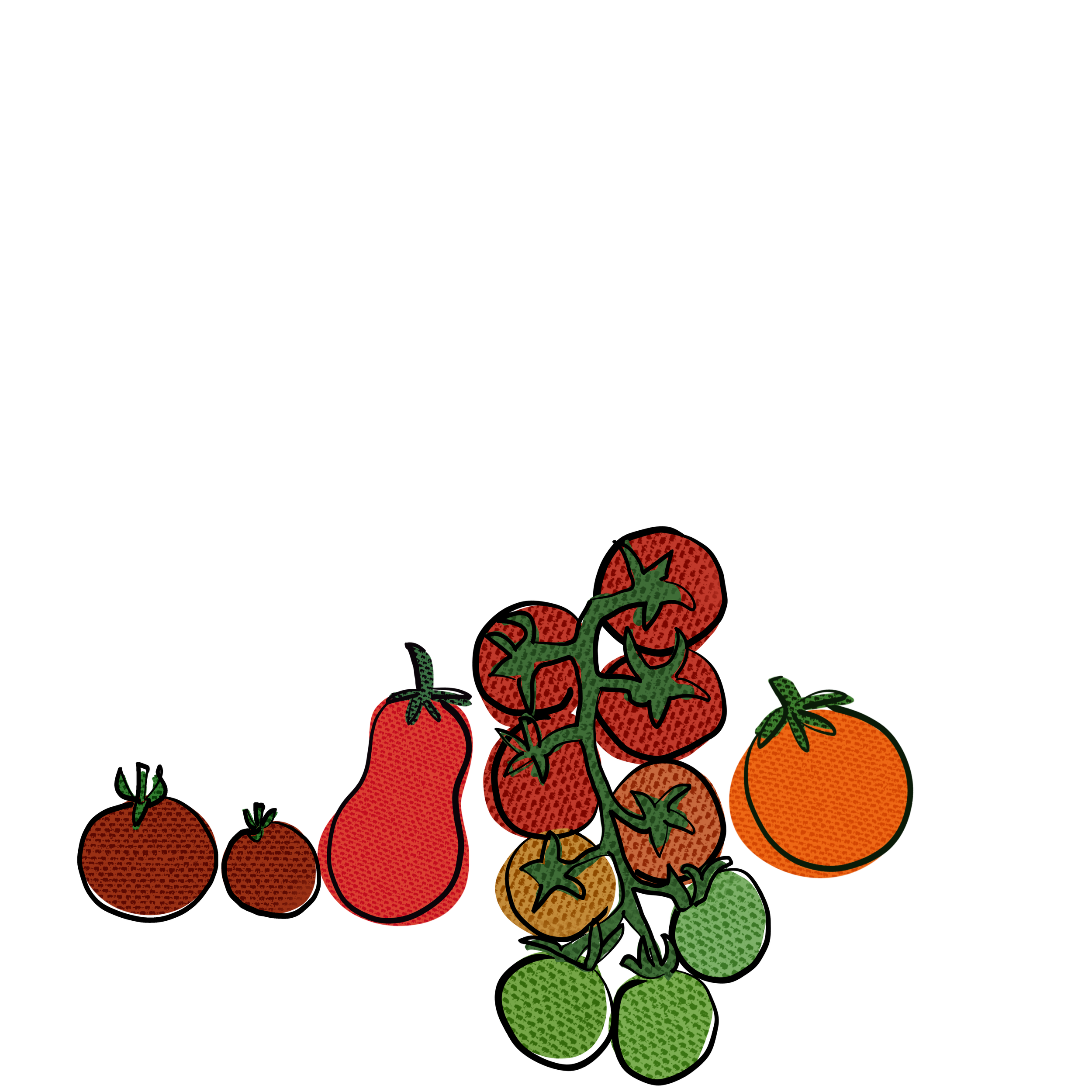 Untitled_Artwork.png