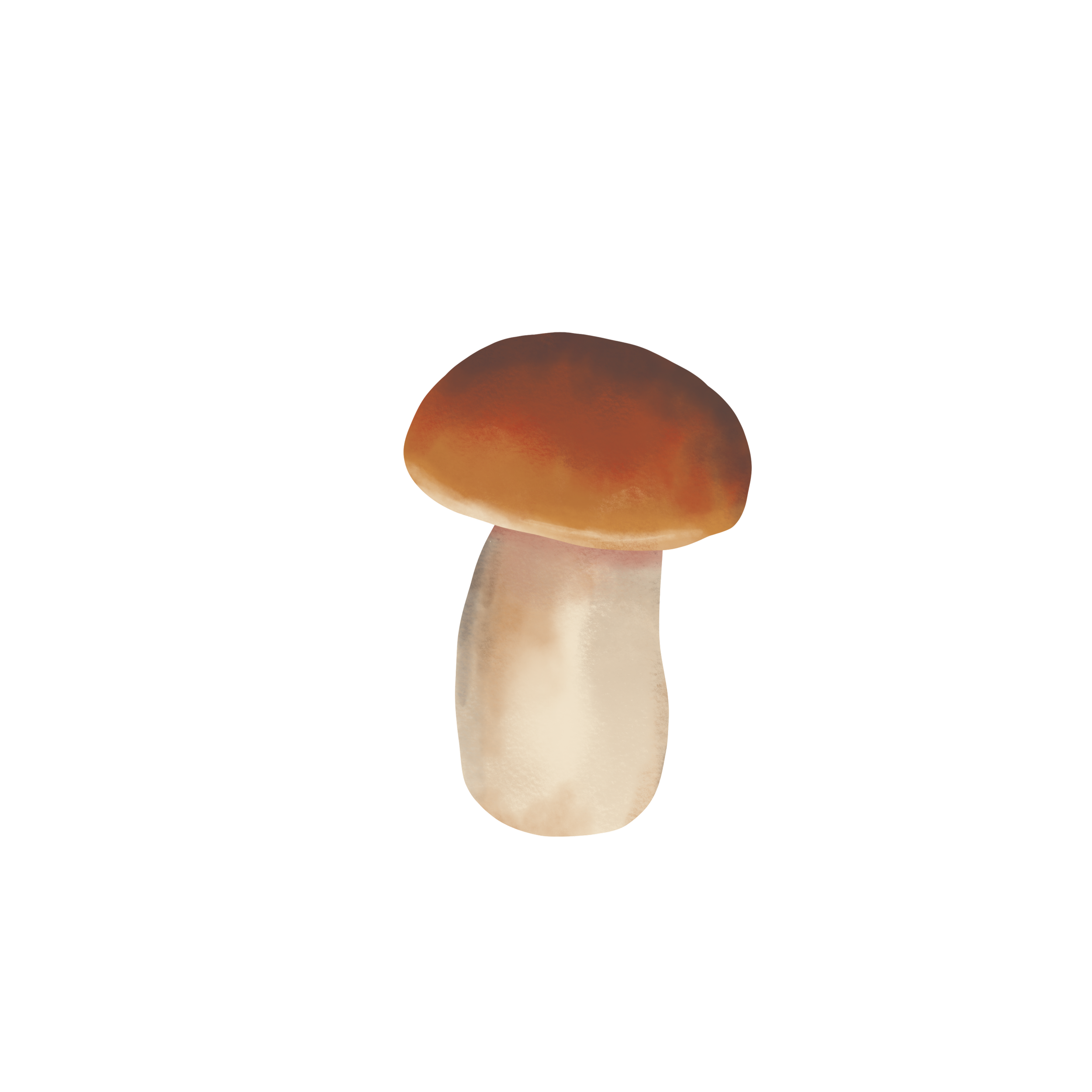 Mushroom_4.png
