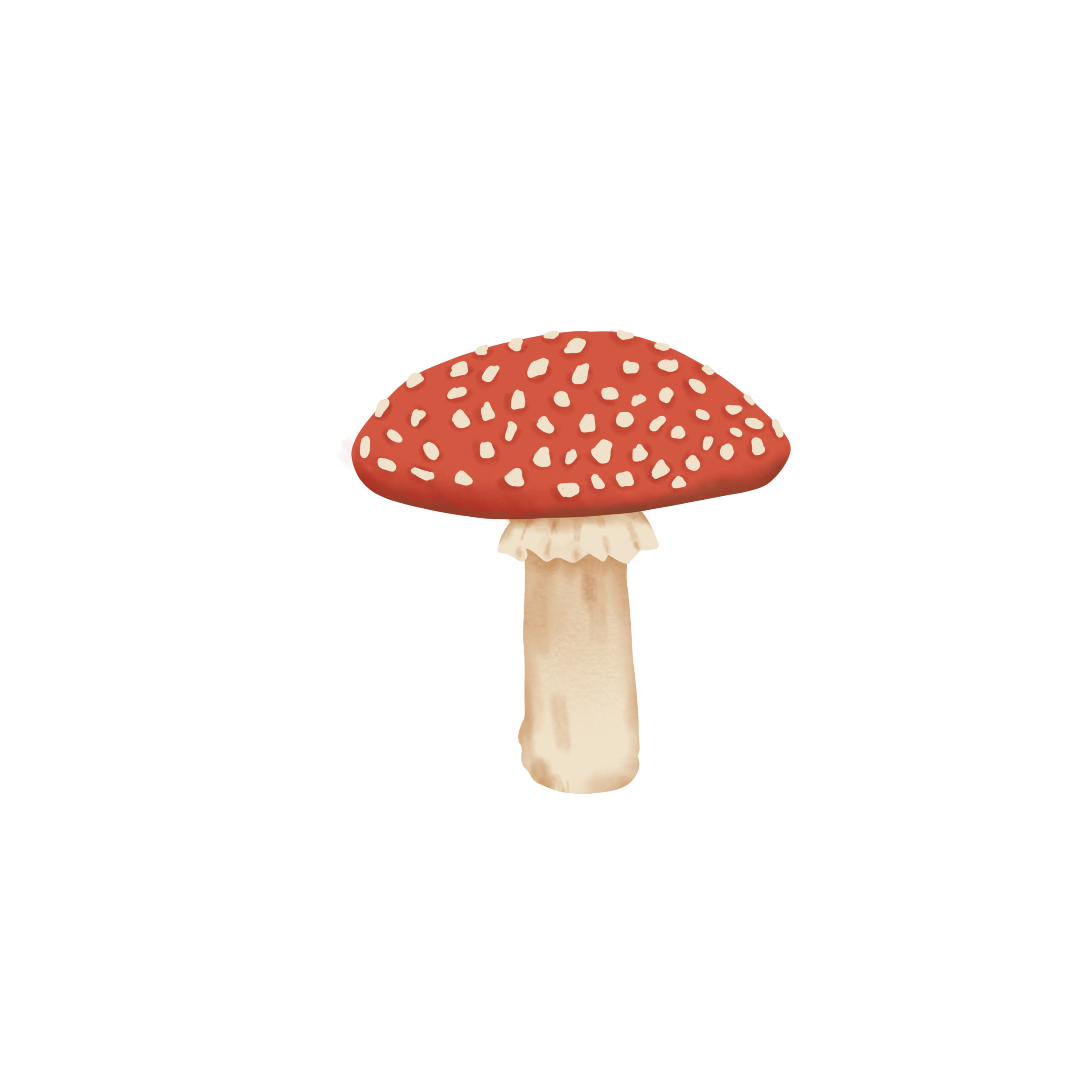 Mushroom_4.png