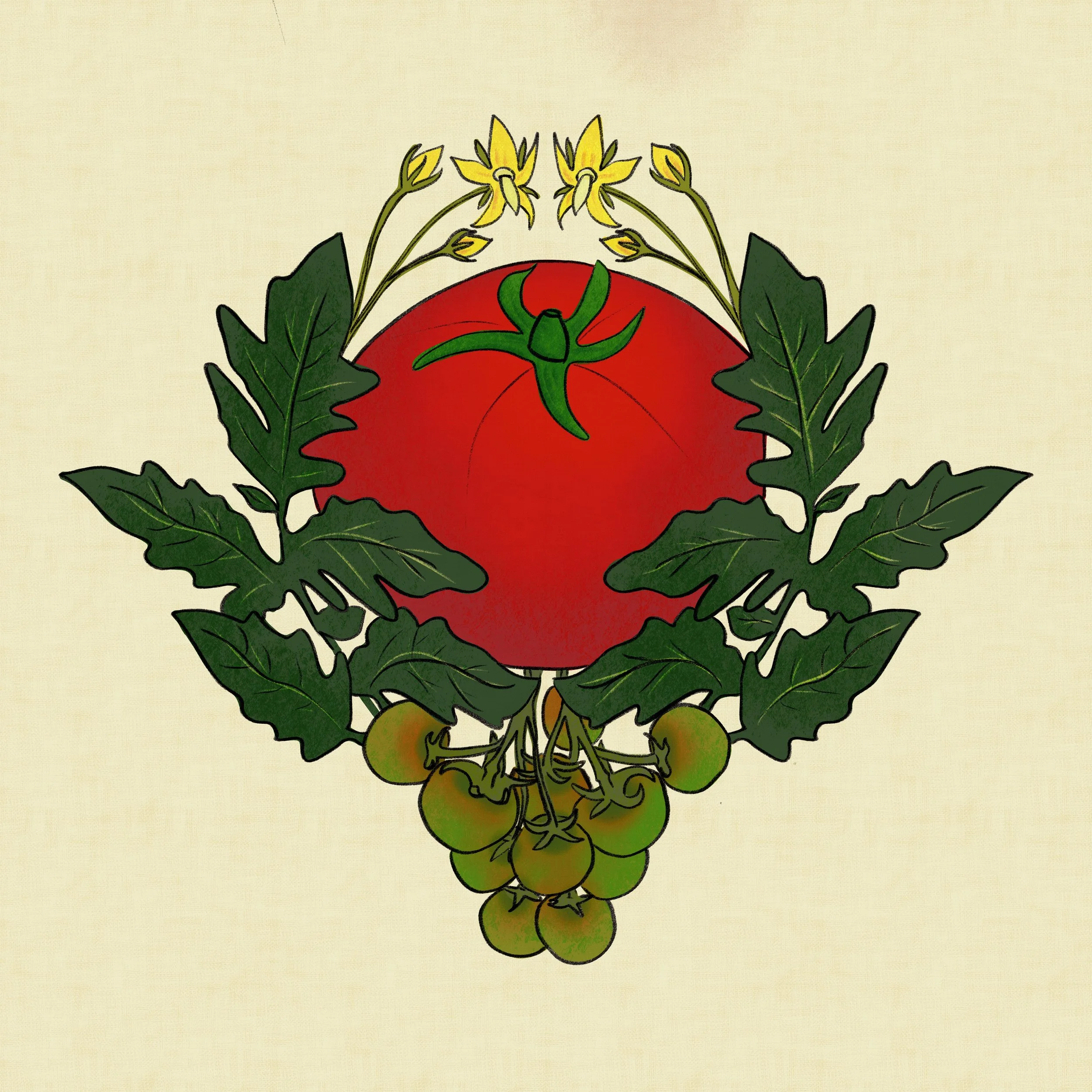 A single ripe tomato sits at the centre like a small sun, cradled by deep green leaves and the fine, ferny foliage of the vine. Yellow blossoms rise above it — the promise that comes before the fruit — while a cluster of green cherry tomatoes hangs b
