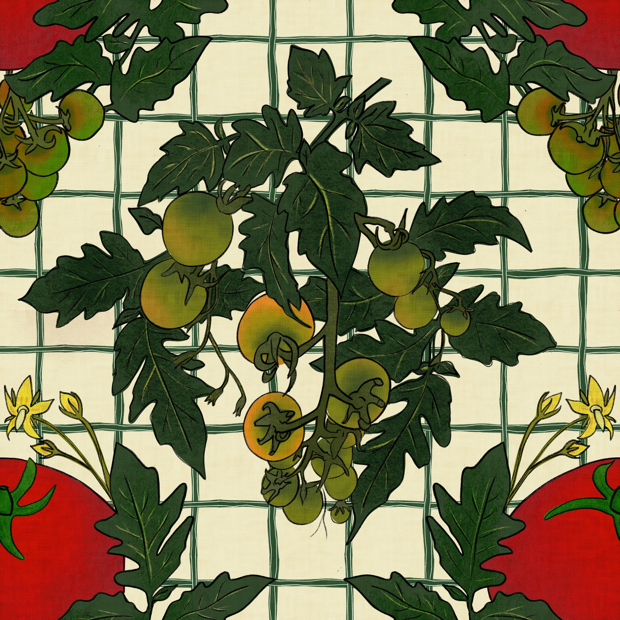 This is the kitchen garden in full summer stretch — tomato vines climbing a pale grid trellis, their stems arching into a natural diamond framework heavy with fruit at every stage of ripening. From small green clusters to blushing orange and bold rip