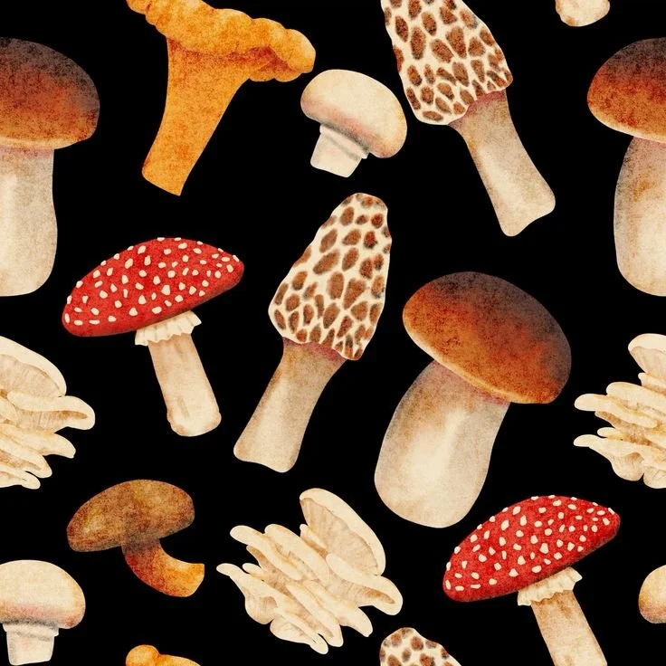 Mushroom Dinner Pattern.jpg