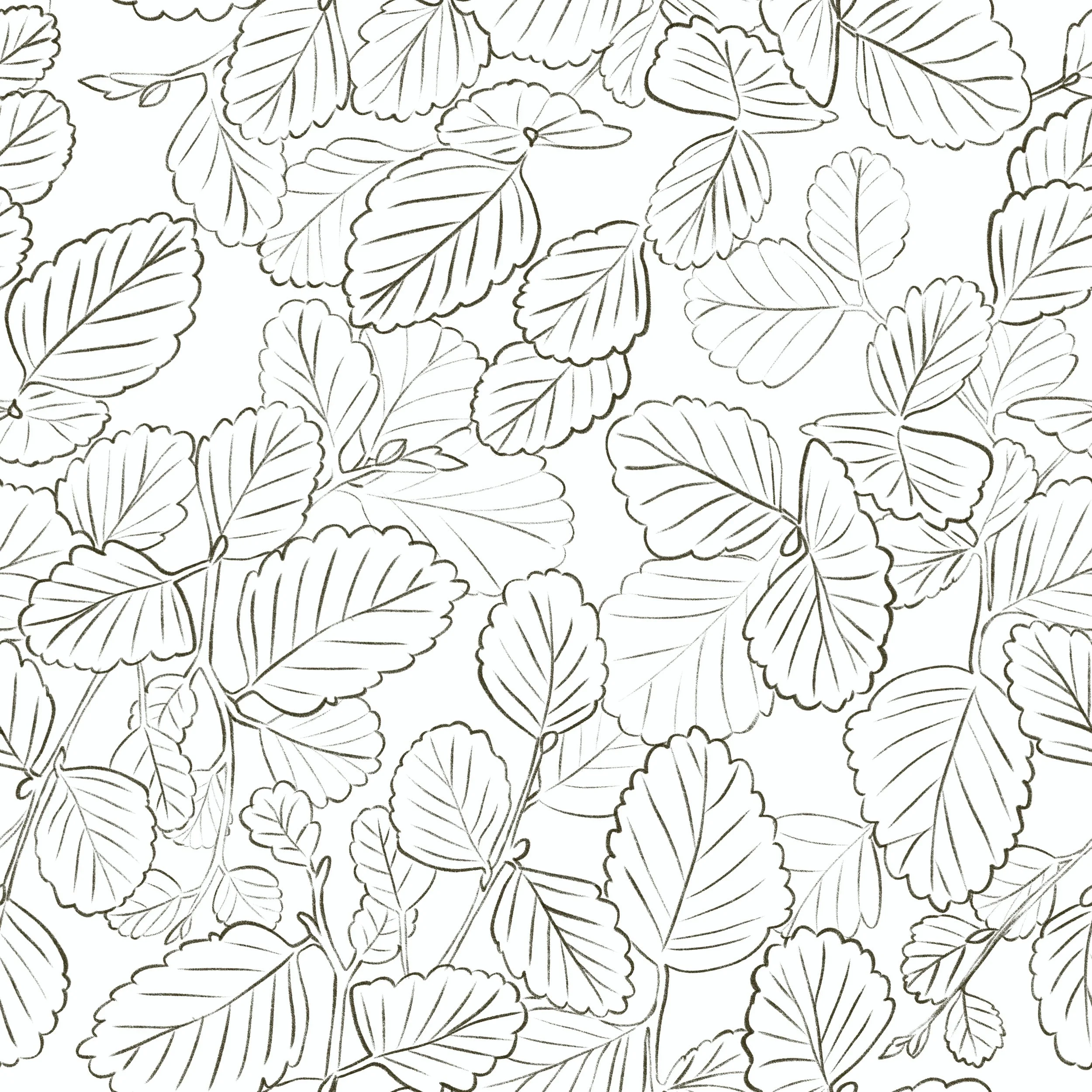 Drawn entirely in pencil, this pattern captures the dense, layered canopy of Nothofagus gunnii — Tasmania's only native deciduous tree — in its quiet pre-turn stillness. The leaves tumble and overlap in every direction, scallop-edged and vein-detaile