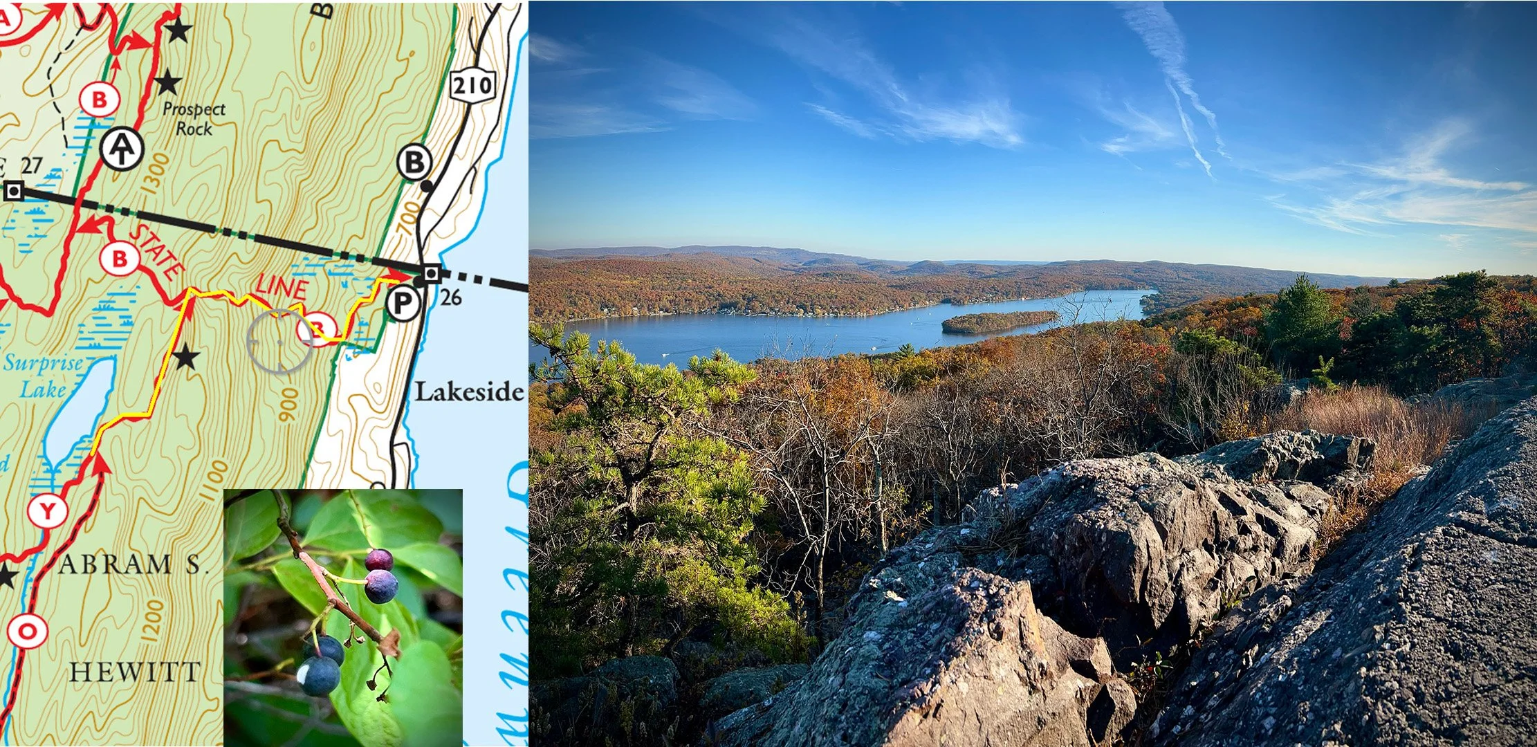 State Line Trail (3 miles) - It's not easy, but the view of Greenwood Lake is amazing! Surprise Lake is right past the peak and surrounded by delicious wild blueberries at the end of June/early July. You can also check out the Appalachian Trail. Park