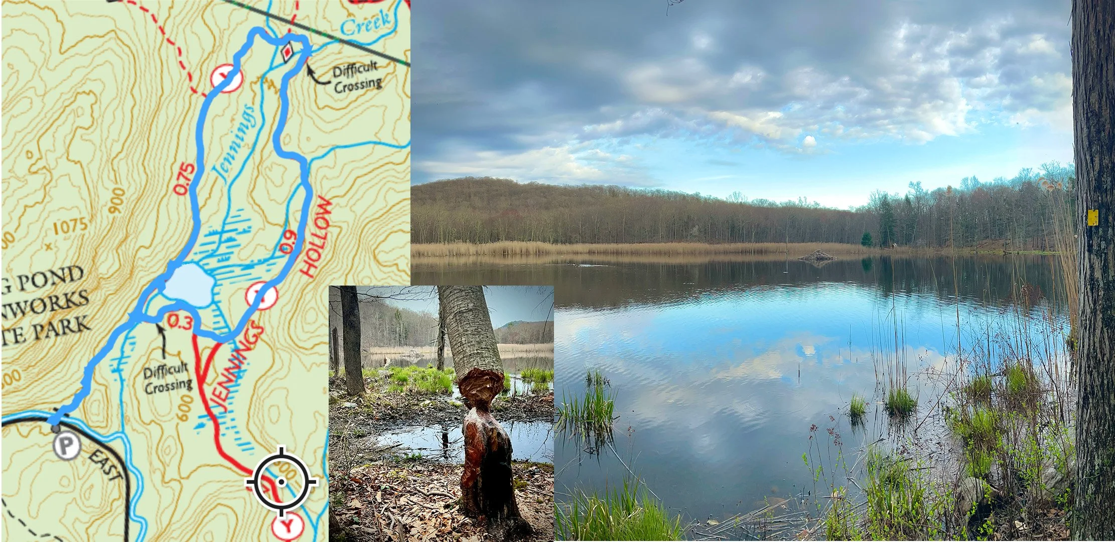 Jennings Creek - (1-2.5 miles) Fun, easy hike down to a secluded lake filled with beavers and birds. You'll see some burnt areas from the 2024 wildfire. Parking is on East Shore Rd in West Milford. 