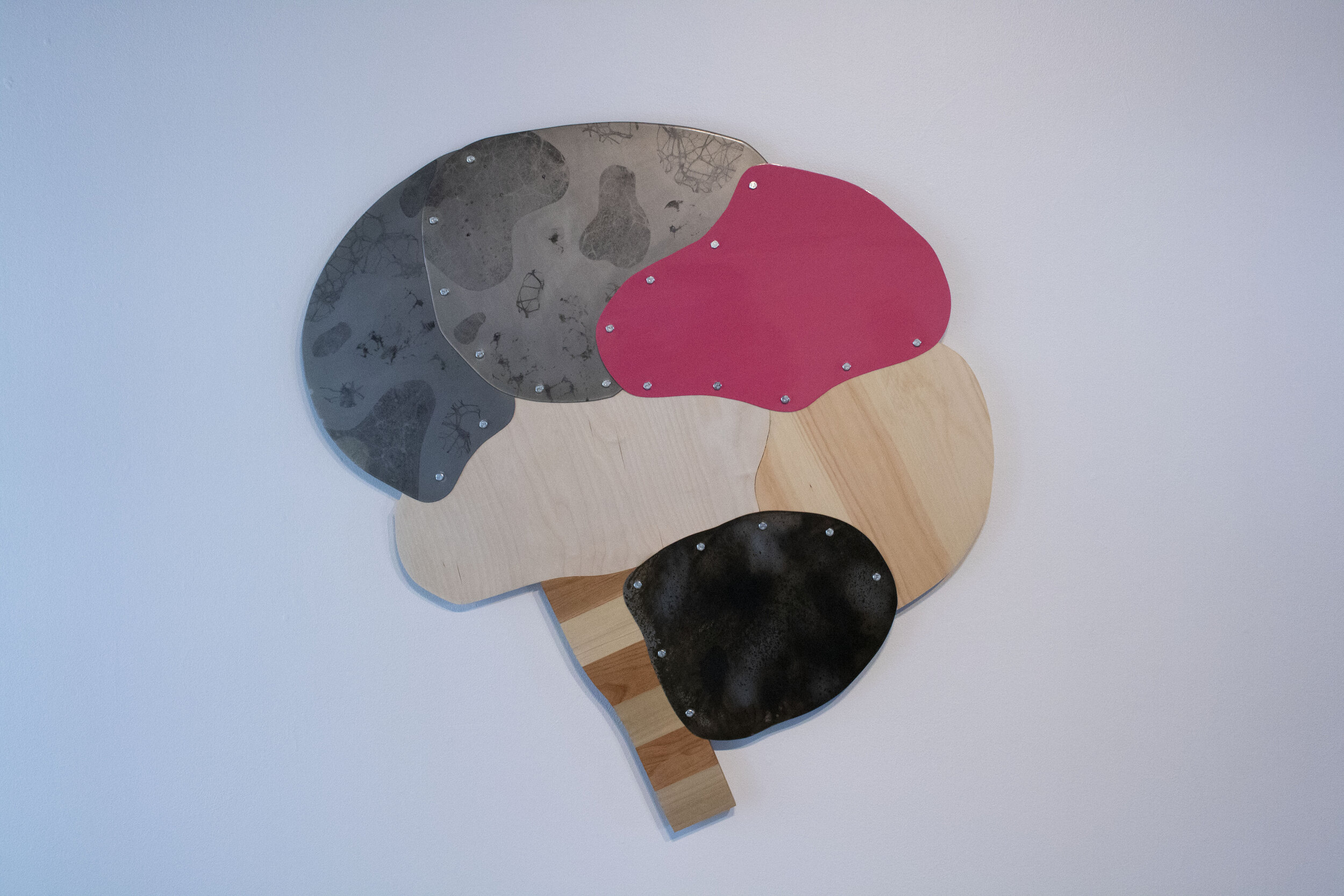 6-Finish Brain: 3.5’ x 1.5” x 4’; Wood, steel, tung oil, danish oil, paste wax, bolts; March 2020;
This brain demonstrates the use of six different finishing techniques, those being tung oil, danish oil, paste wax, museum wax (used twice, one over pl