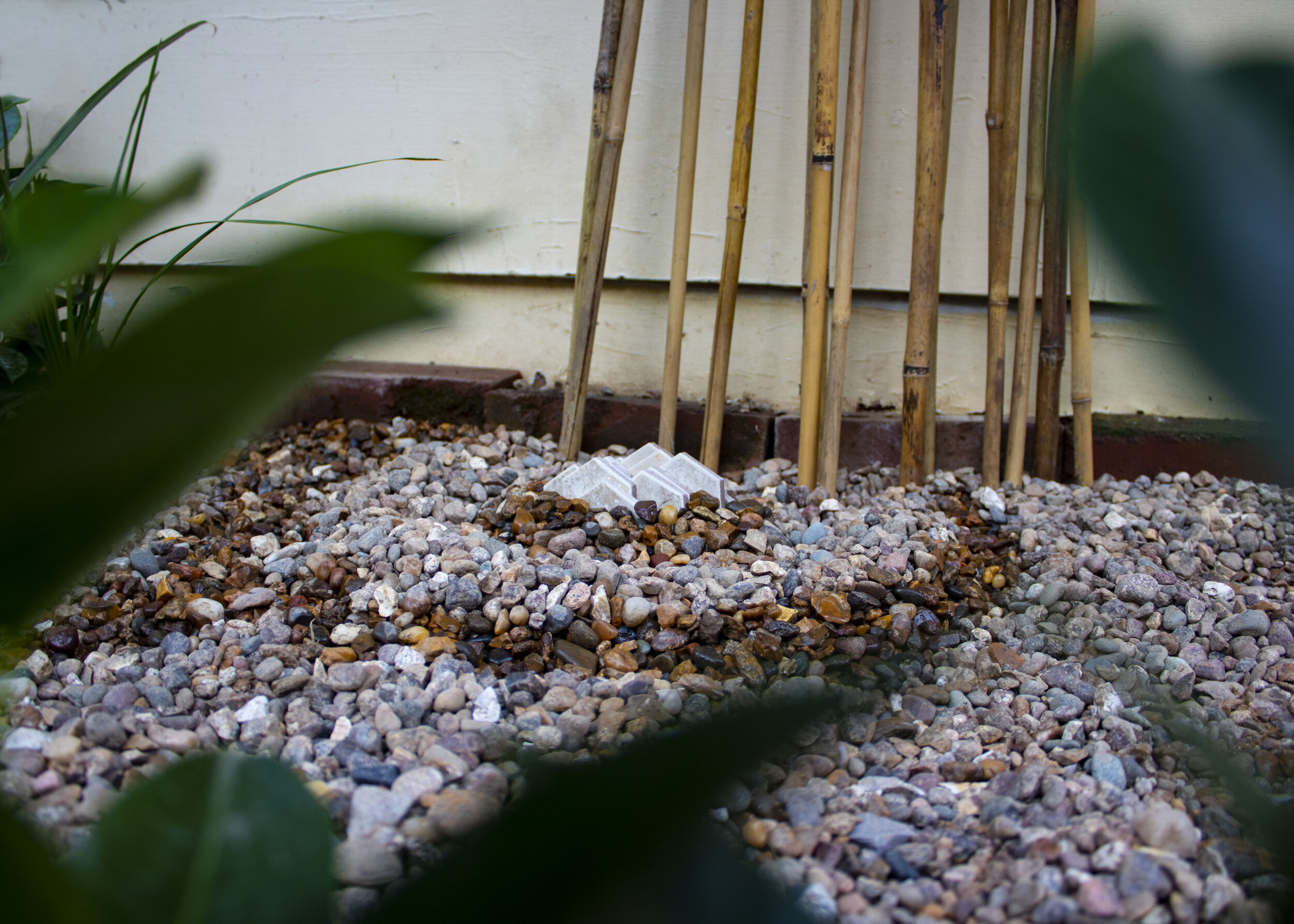 Zen Garden: 10’ x 5’ x 3’; Plants, pebbles; May 2020;
After covid sent me back home, I got back into gardening. I was inspired by Japanese Zen gardens to create my own garden, instead, I used native plants from Missouri and created my own sculptural