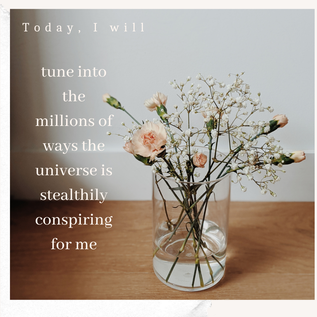 frequency of gratitude