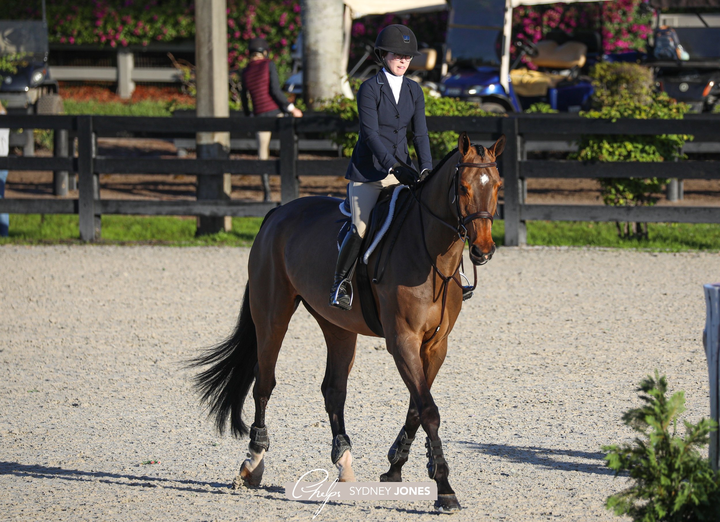 Beacon Hill Show Stables, Ketterle, Lily Anthes, Photo by Sydney Jones.jpg