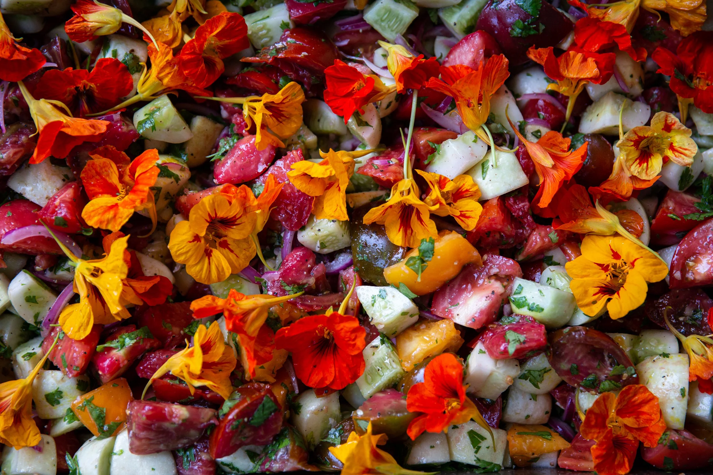 Bolinas-WMarinFiddleCamp-Summer2023-LisaBermanPhoto-2350 2.jpg