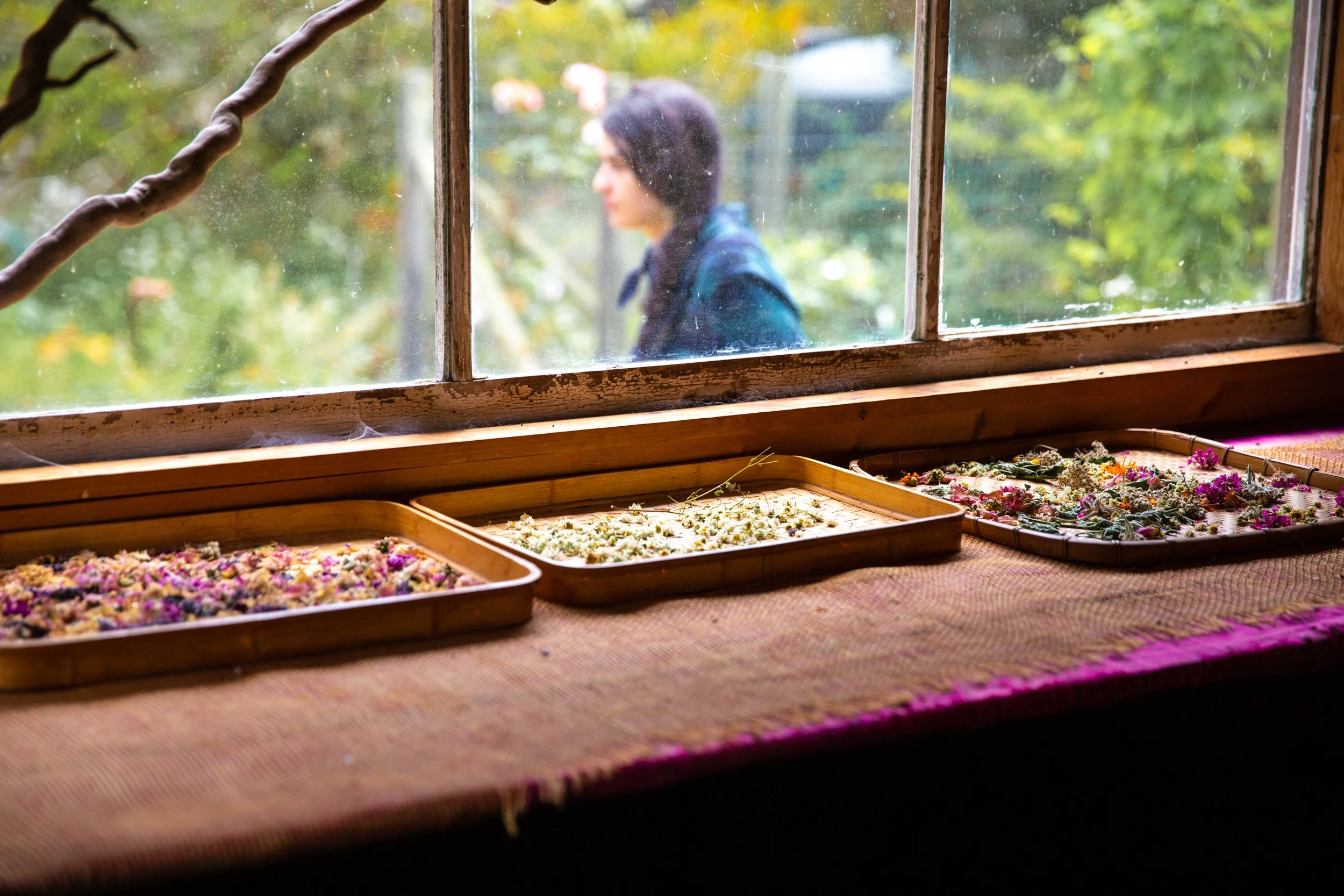 Bolinas-WMarinFiddleCamp-Summer2023-LisaBermanPhoto-2802.jpg