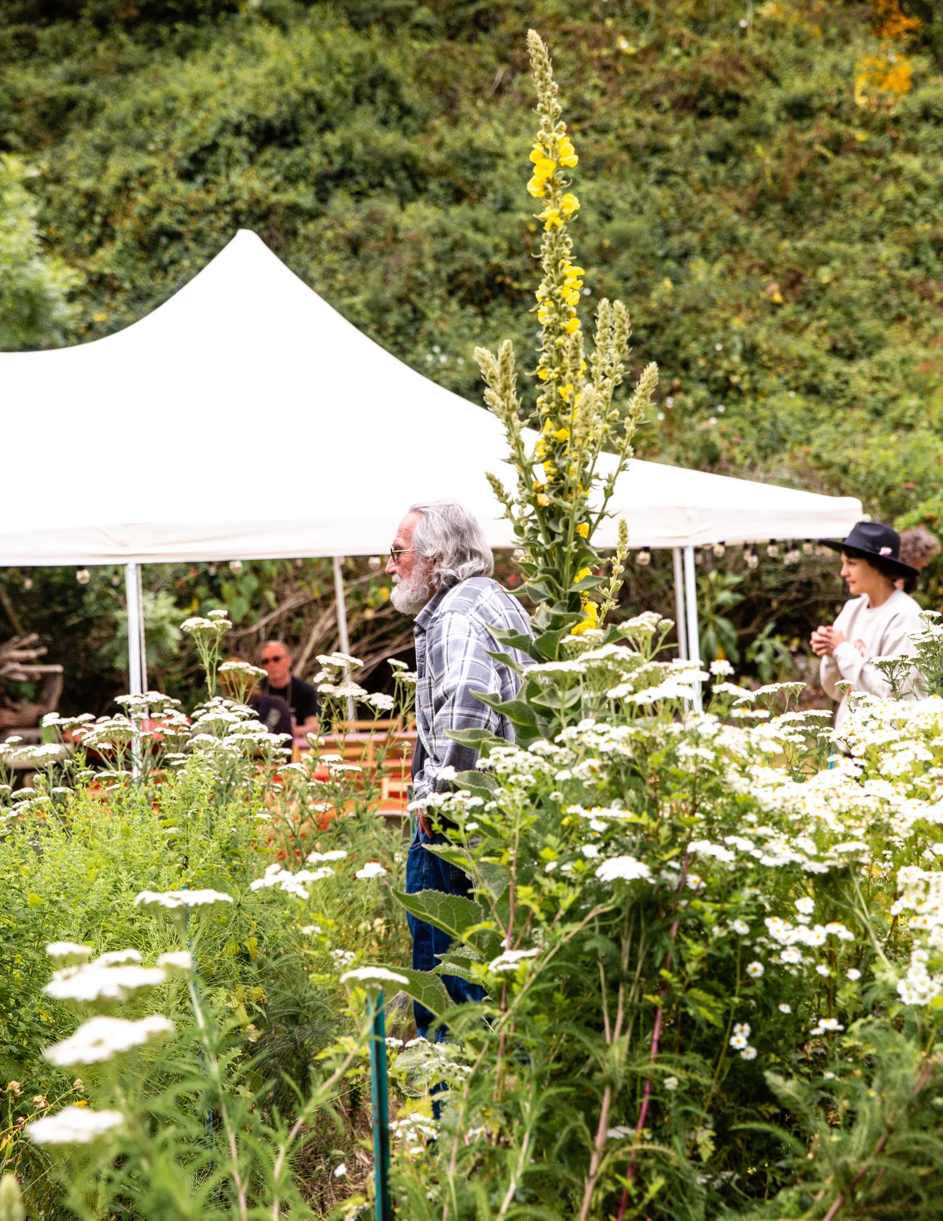 Bolinas-WMarinFiddleCamp-Summer2023-LisaBermanPhoto-2659.jpg