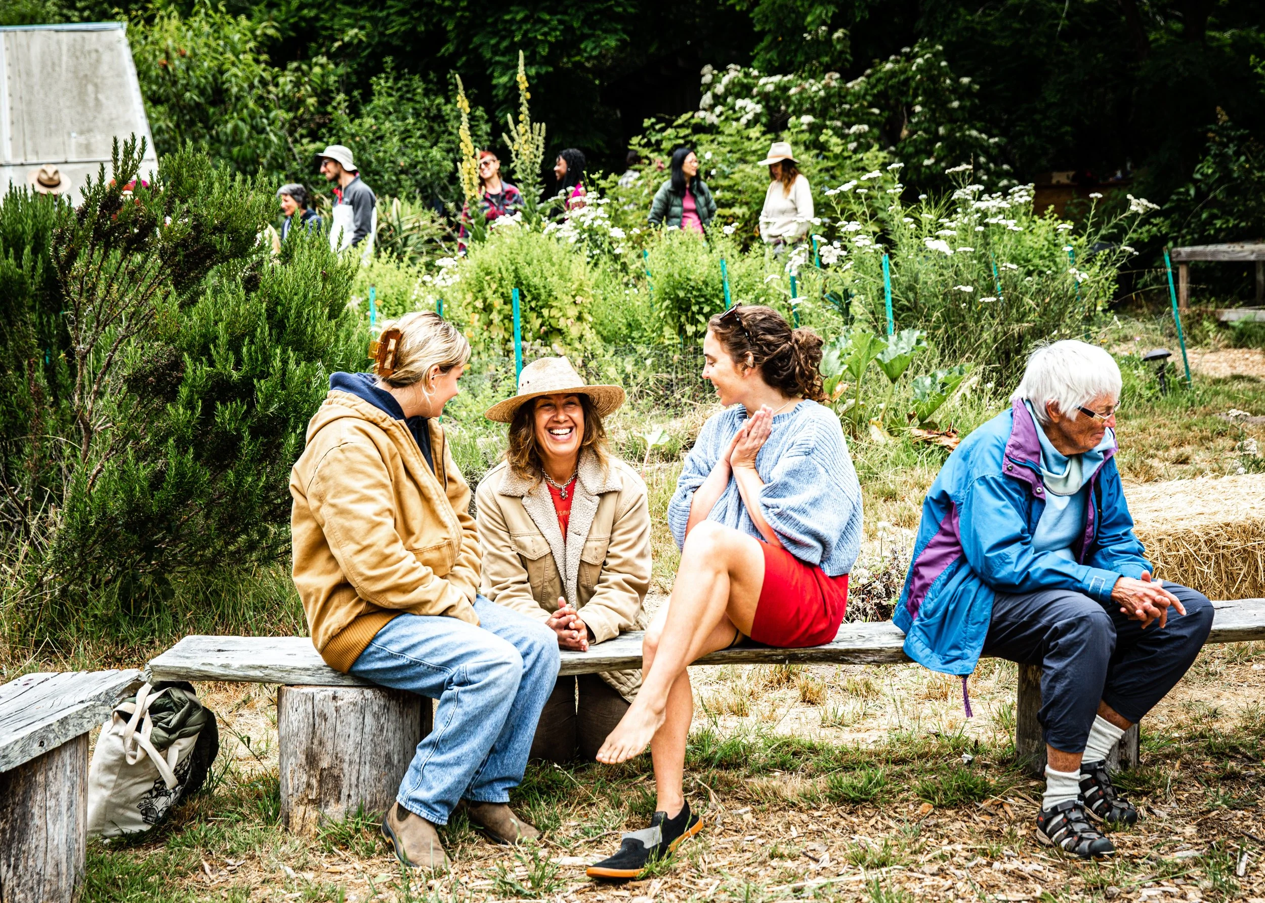 Bolinas-WMarinFiddleCamp-Summer2023-LisaBermanPhoto-2713.jpg