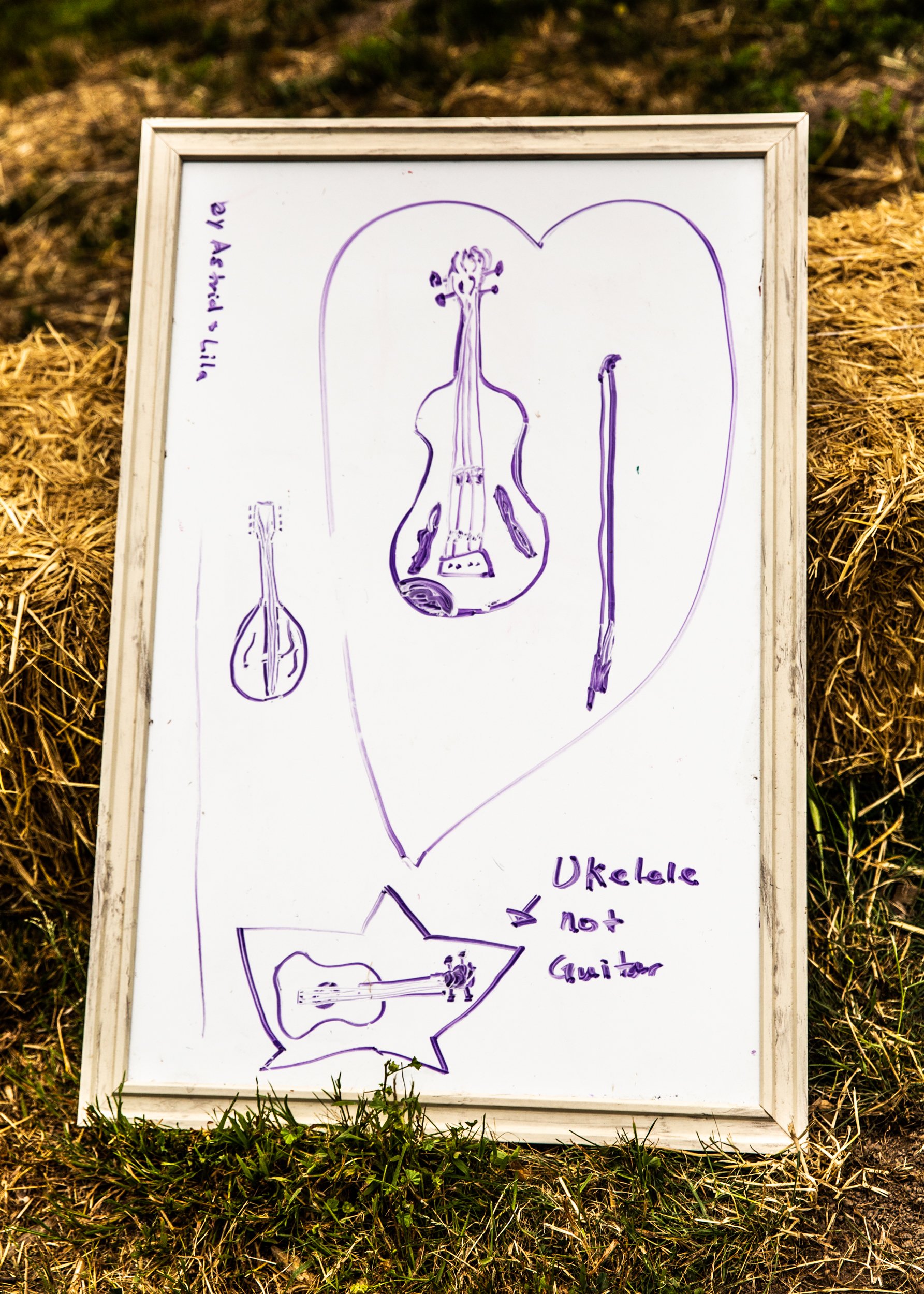Bolinas-WMarinFiddleCamp-Summer2023-LisaBermanPhoto-2707.jpg