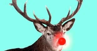 rudolph.jpeg