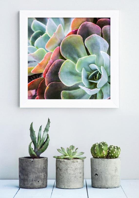 https://i.etsystatic.com/10604409/r/il/62f50f/1935929611/il_570xN.1935929611_pl79.jpg