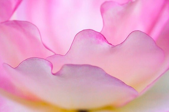 https://i.etsystatic.com/10604409/r/il/d9ed7b/732725233/il_570xN.732725233_m33w.jpg