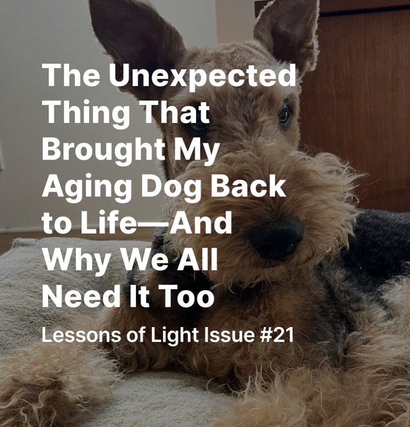 What do you think is the magic &ldquo;pill?&rdquo; ➡️ Read on my Substack: Hold the Light with Laurie Gunning Grossman