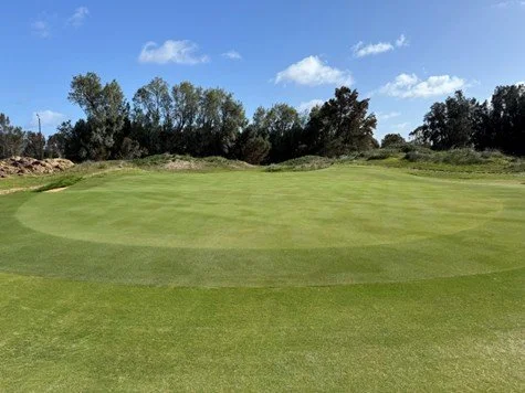 Case study: Glenelg Golf Club Biochar Trial