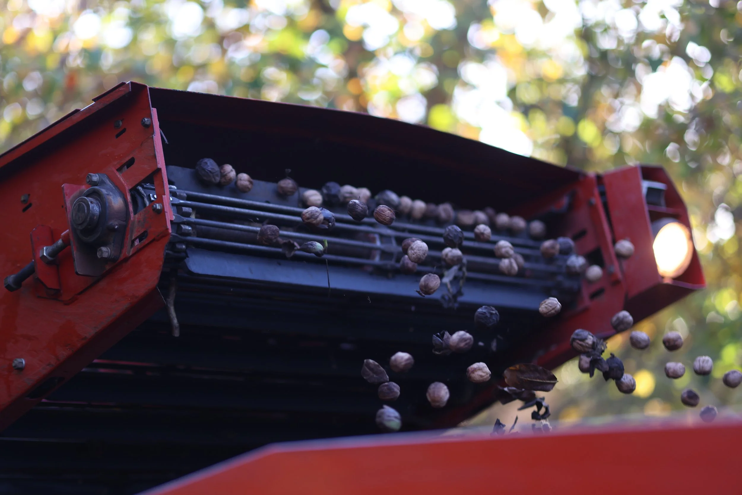 Walnut shell waste used to make nutshell biochar