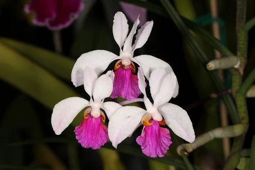 WhatsApp Image 2024-01-30 at 10.37.53.jpeg