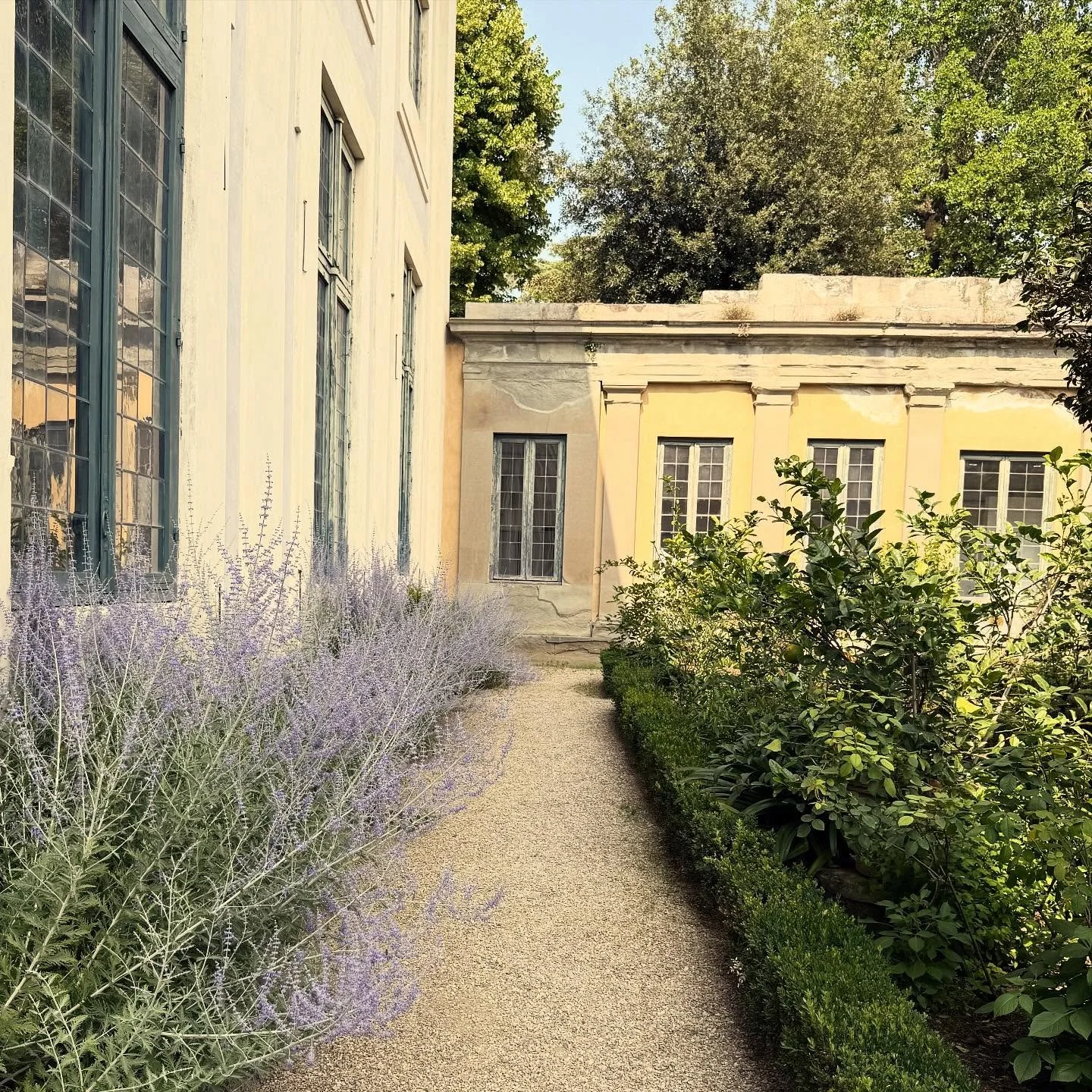 You do get to choose which path you want to follow. You get to decide if it is a yes or a no - When I started a Writer in Italy Podcast and bought a ticket to Italy I said yes 💖

The trick is to stay on the path. You can go fast or you can go slow b