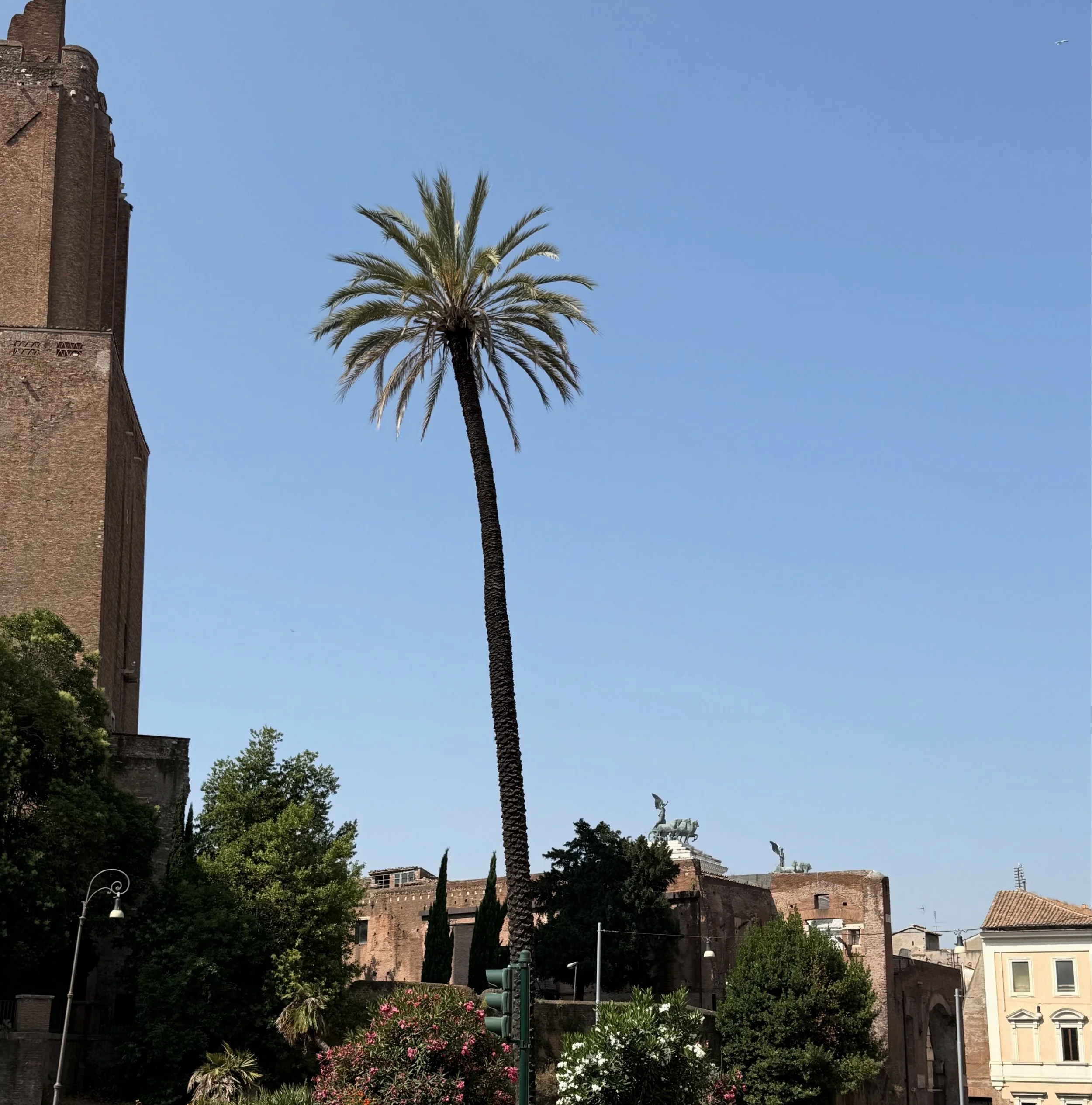 Episode 132: A Travel &amp; Book Story on 'Let Them Theory'