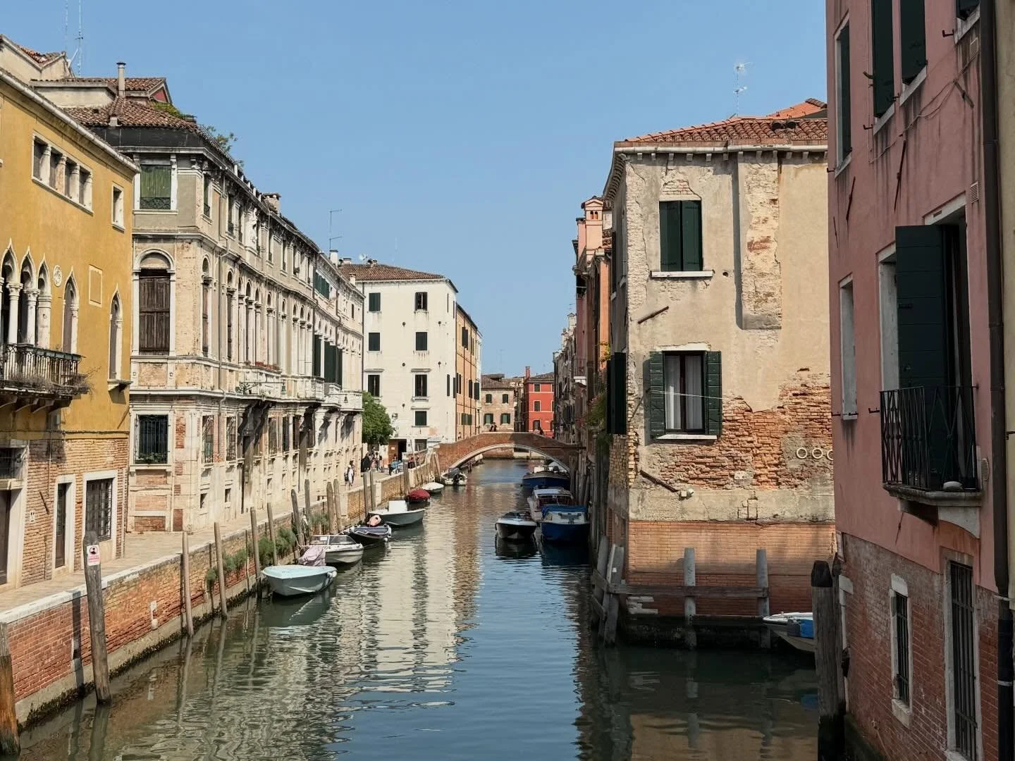 Today is a great day to write down your ideas or start something new!! Everything begins with a seed, write a list, write the book idea, start the first page&hellip; go buy the notebook and pen or your fave art materials! 

Write your dream year, you