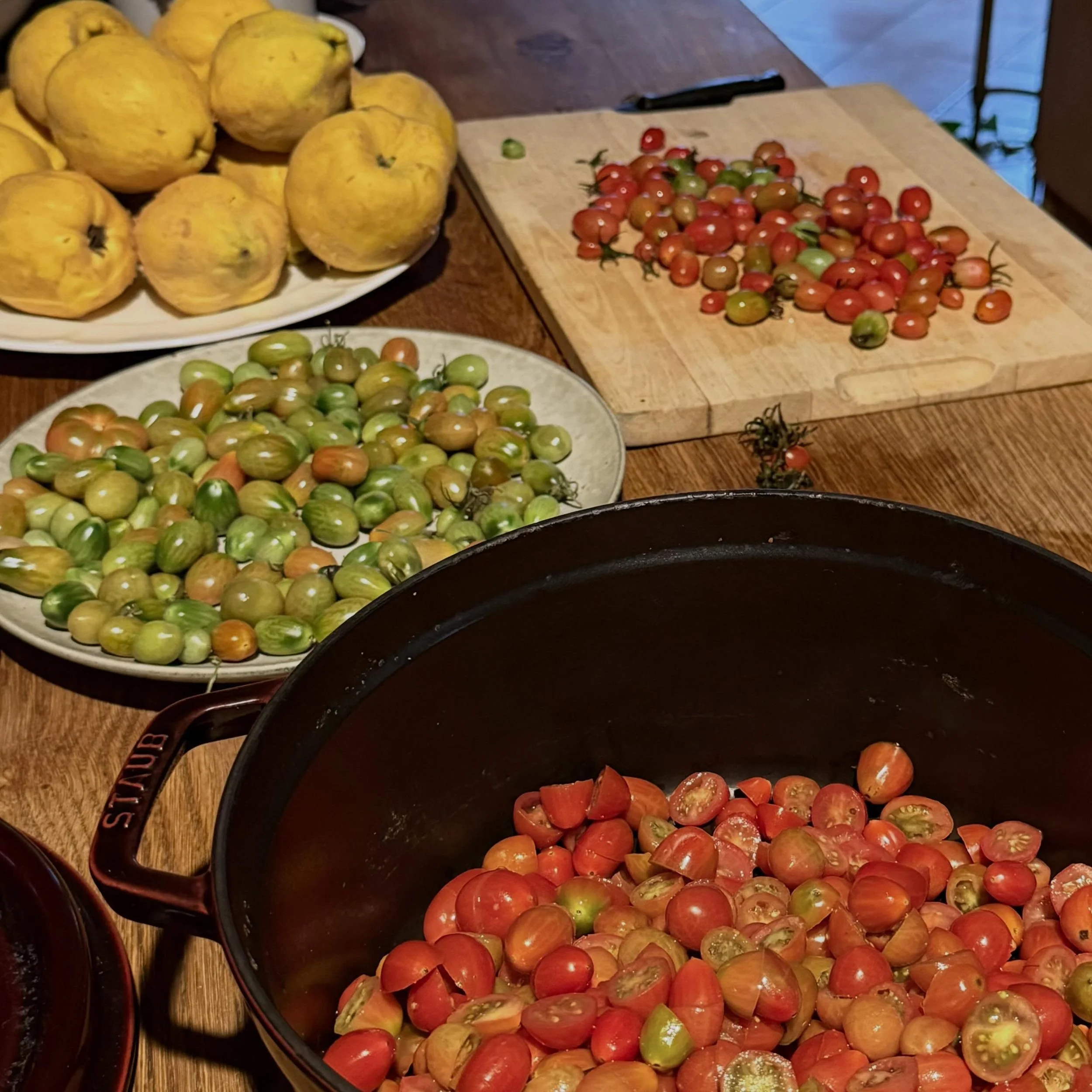 Today is for the tomatoes and tomorrow is for the quince! Still surprised to be picking tomatoes so late!

.
.
.
.
#homegrown #slowfood #foodstagram #harvest