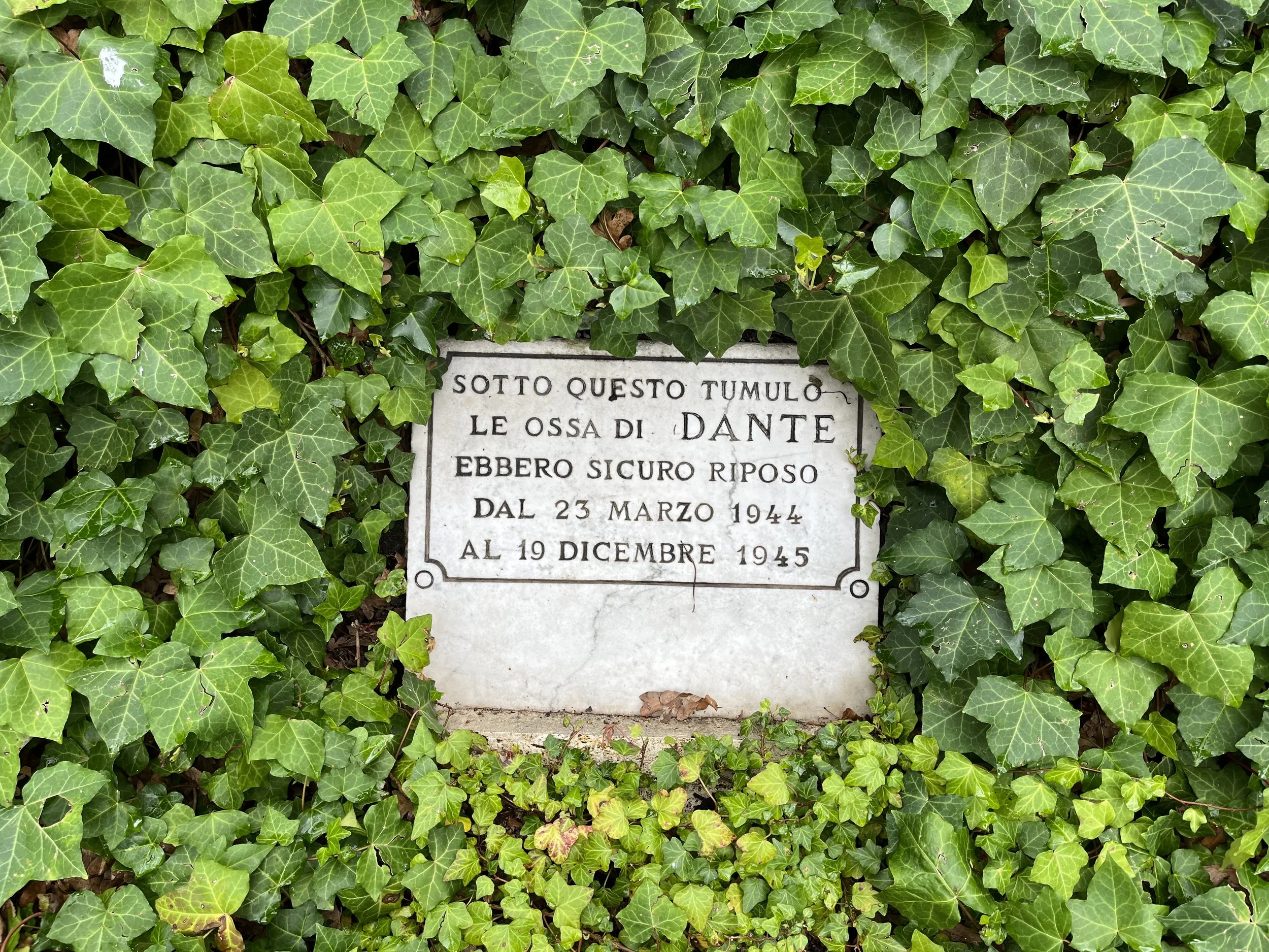 Episode 146: In the Woods, with Dante 