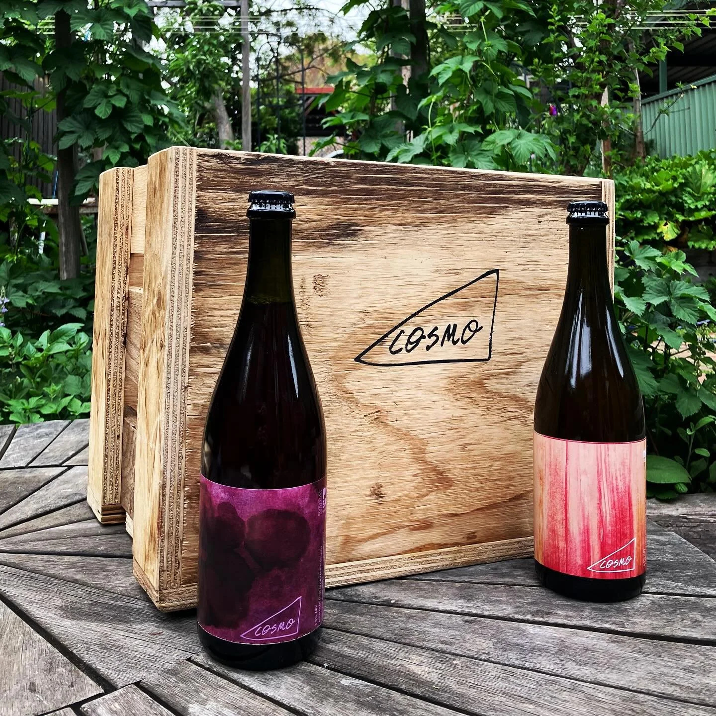 We won’t be at the farmers markets this weekend but we are releasing these three beers today @thevictoriabathurst 🍻 
‘24 Whisky Barrel Aged Plum Saison
‘23 Rhubarb Blended Saison
‘23 Barrel Aged Feijoa Saison
We will have 1