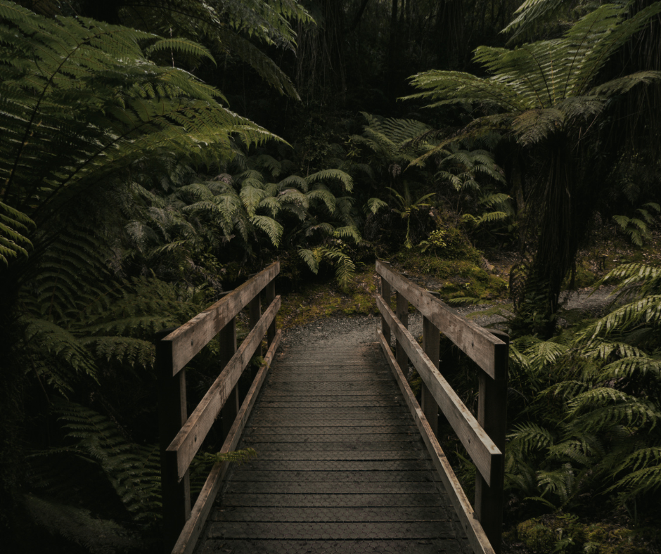 Untitled design (13).png