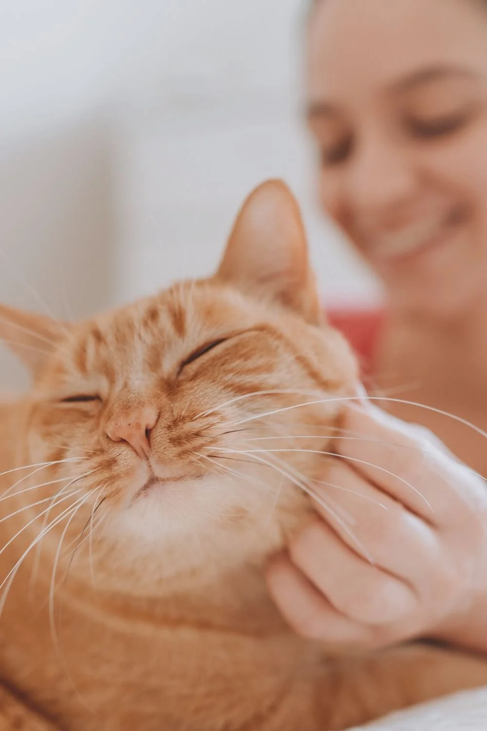 What if your intuition has been right about your pet all along?