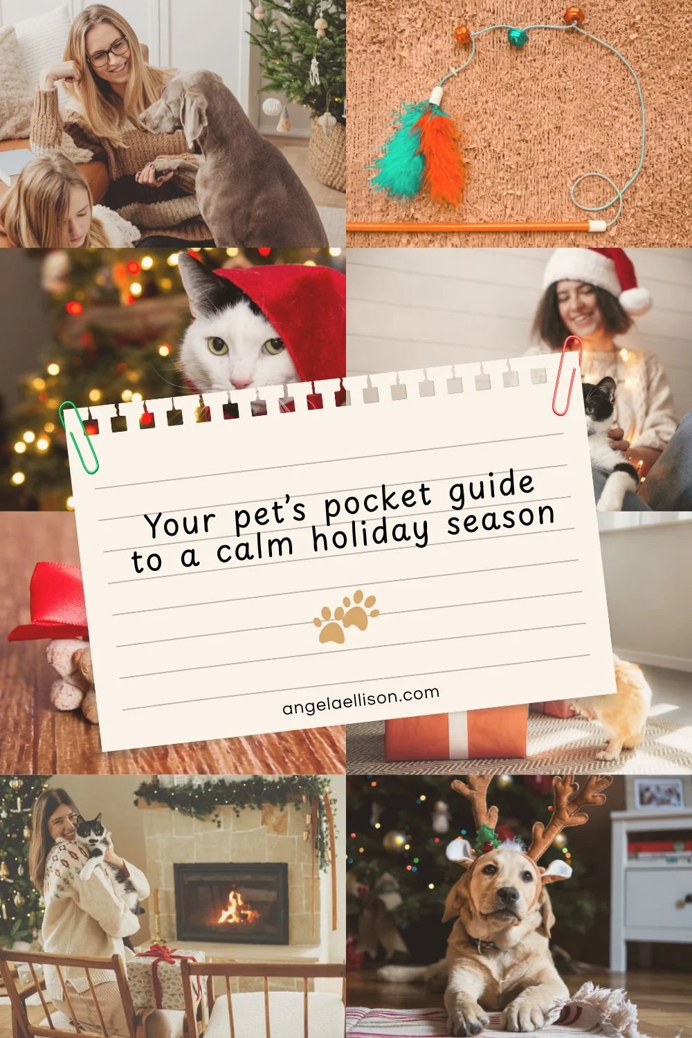Your Pet’s Pocket Guide to a Calm Holiday Season