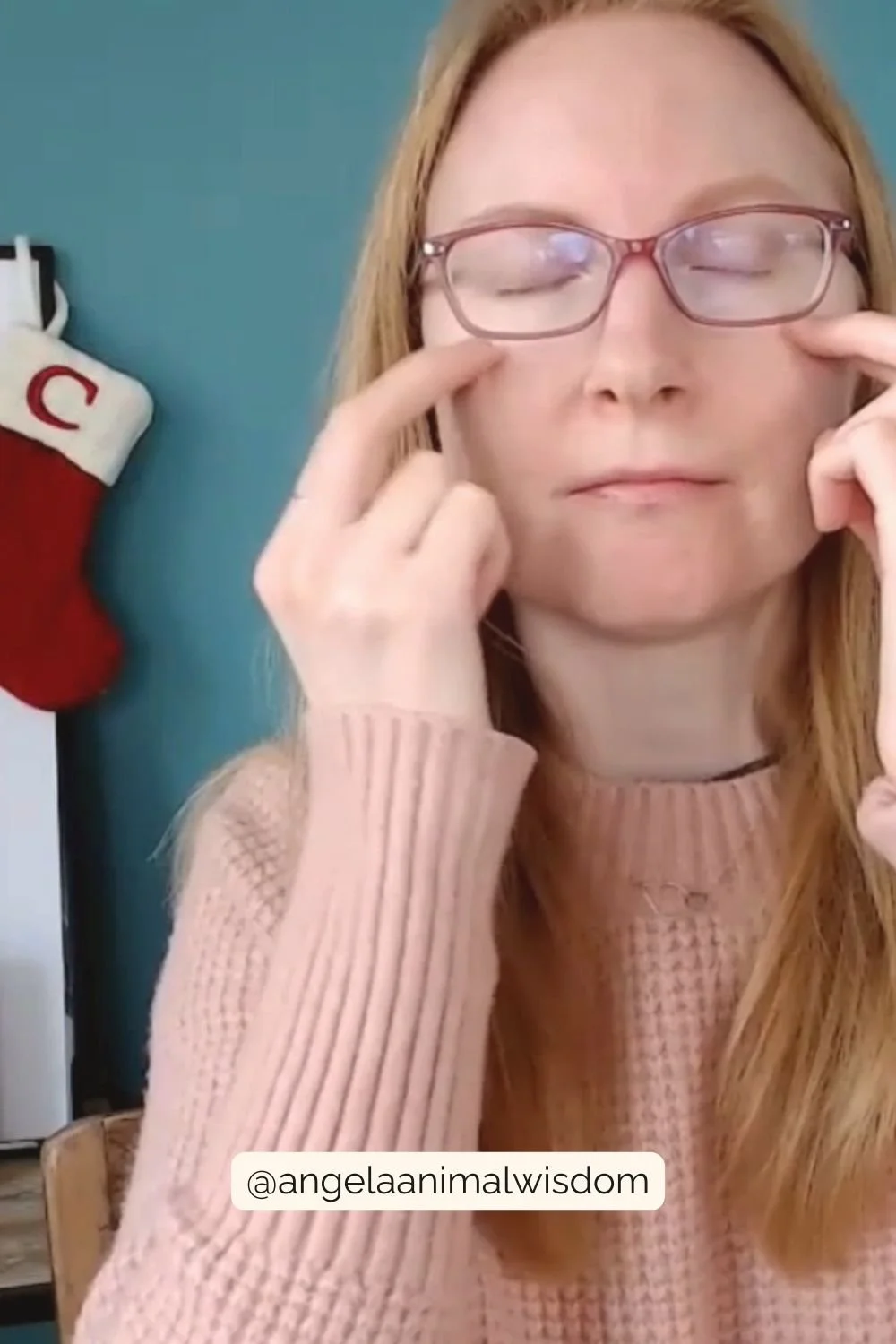 EFT Tapping for Pet Grief During the Holidays