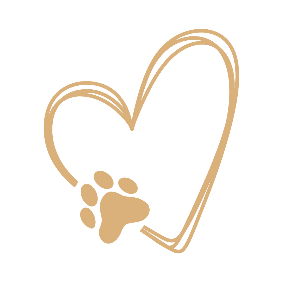 A golden sketched heart with a paw print, representing the love people share with their pets.