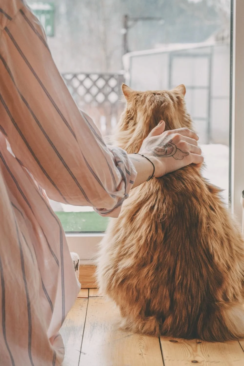 A woman is wearing a blouse and has her hand on her cat, as they look out the window.