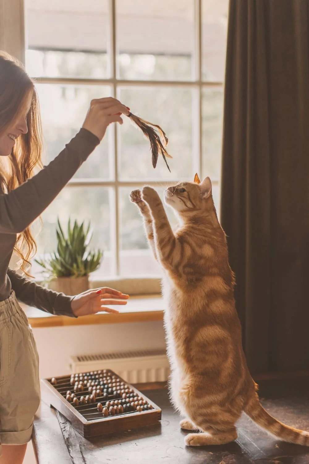 A woman is lovingly holding a toy while playing with her orange tabby cat, representing the love between pet parents and their animals.