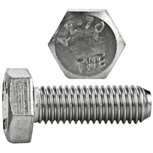 Immech Nut & Bolt Set 400 Pcs Set, M6 x 10mm Hex Head Screws, Hex Head bolt  With Nut & Washer, Zinc-Coated (100 Pcs Each) Price in India - Buy Immech  Nut