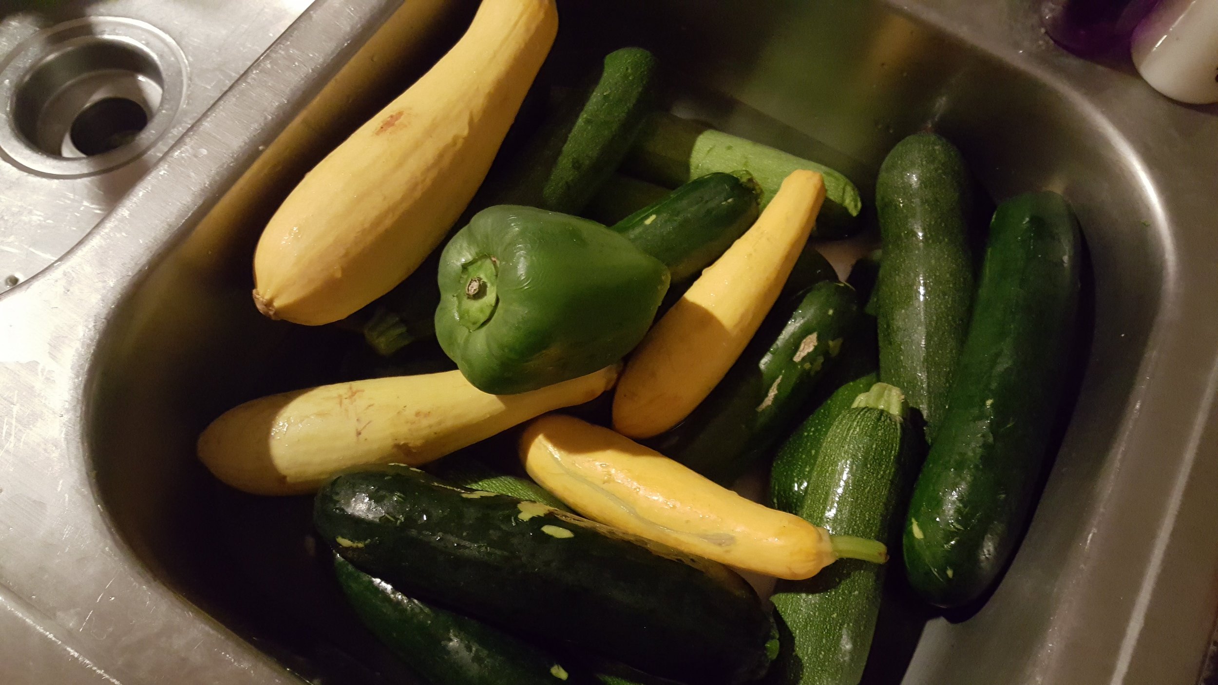 Class time cleaning veggies
