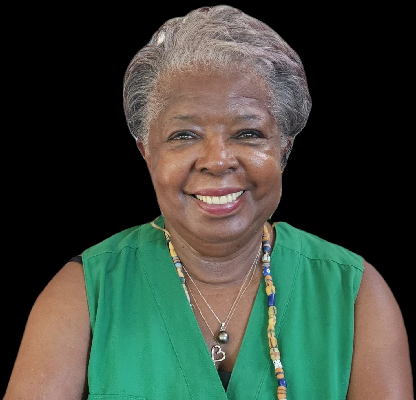 Meet The Commission — Honolulu City Council
