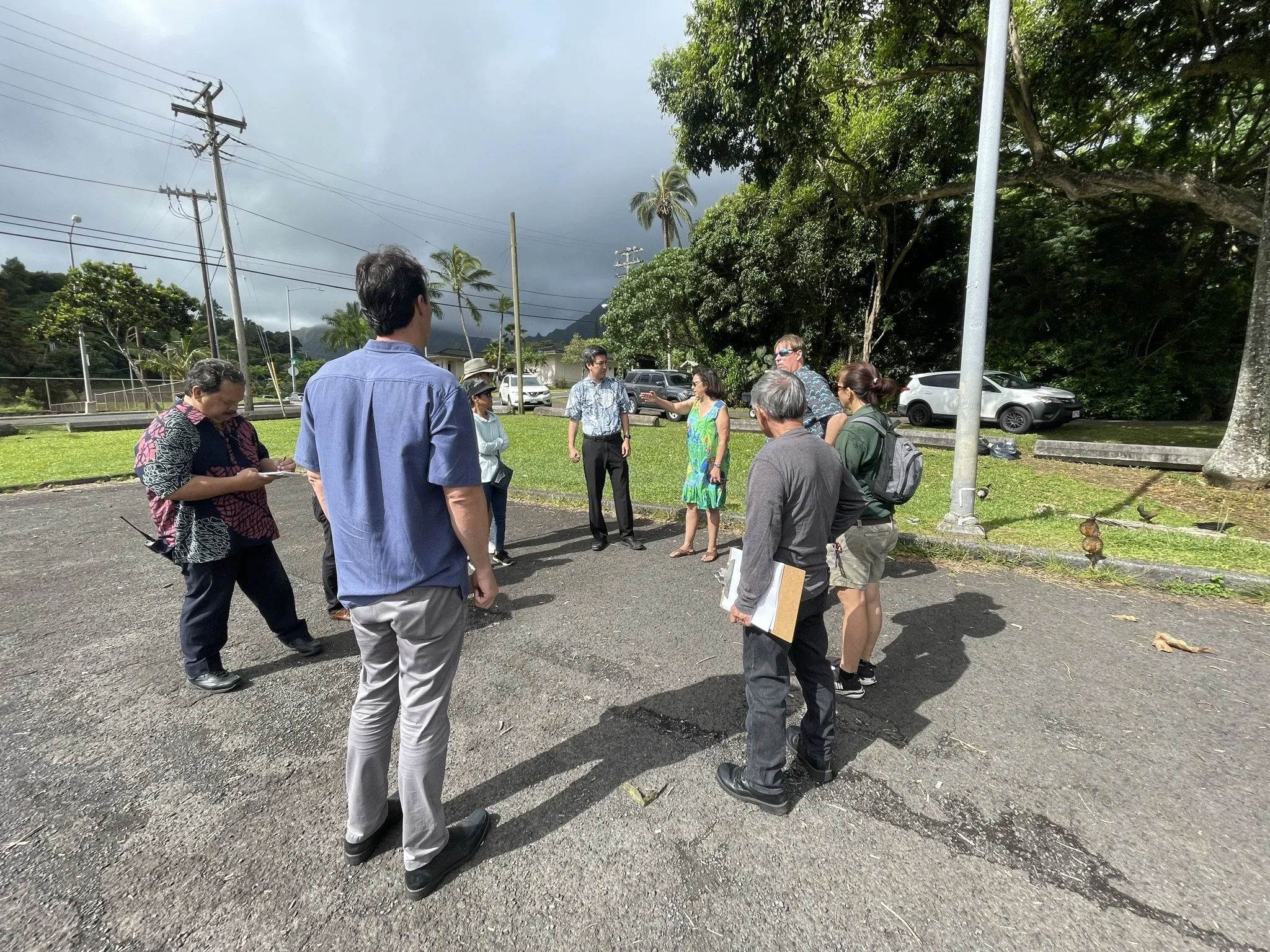 Kāneʻohe District Park sink hole 3.JPEG